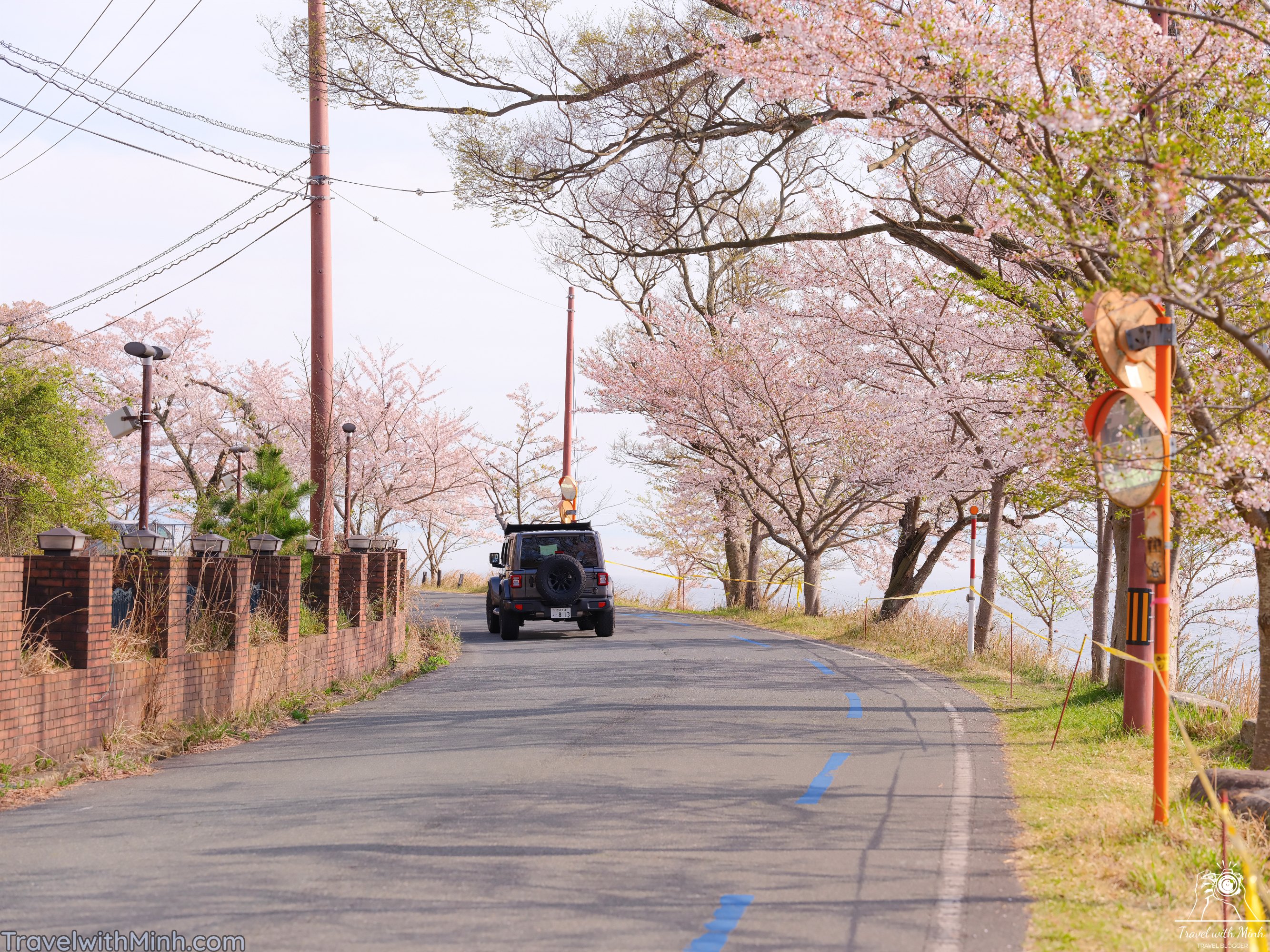 Sakura at makino shigadscf7792