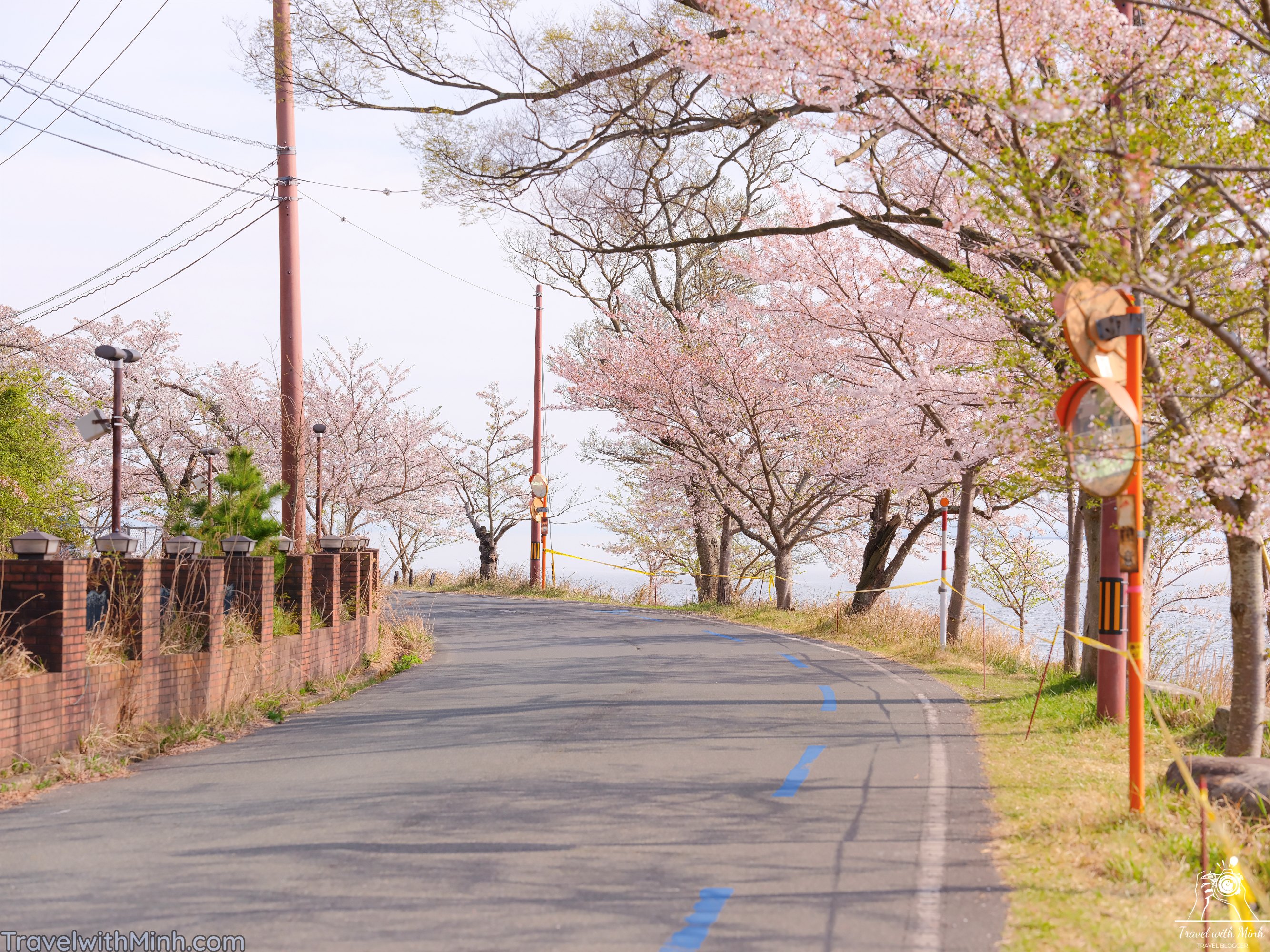 Sakura at makino shigadscf7793