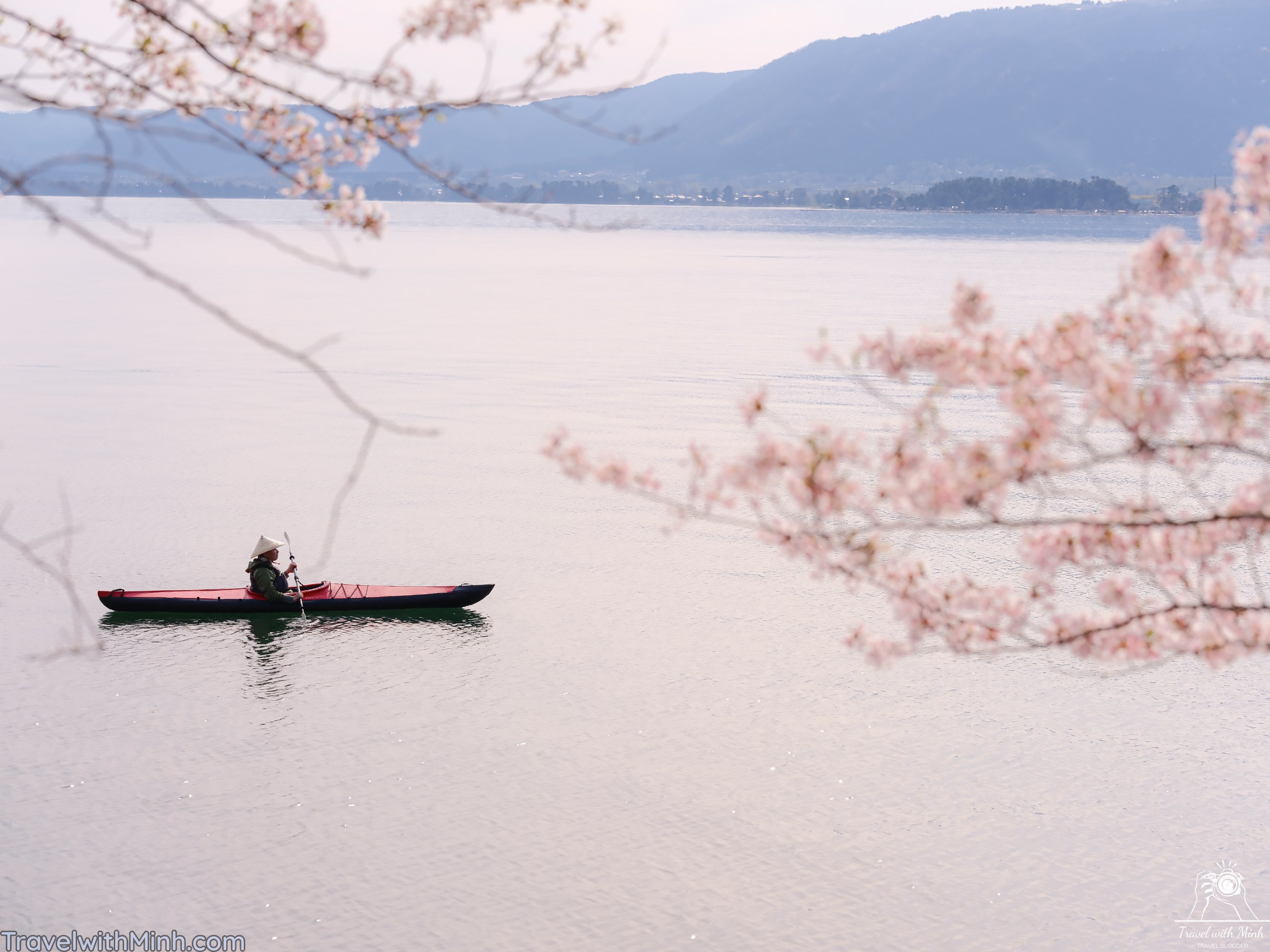 Sakura at makino shigadscf7802