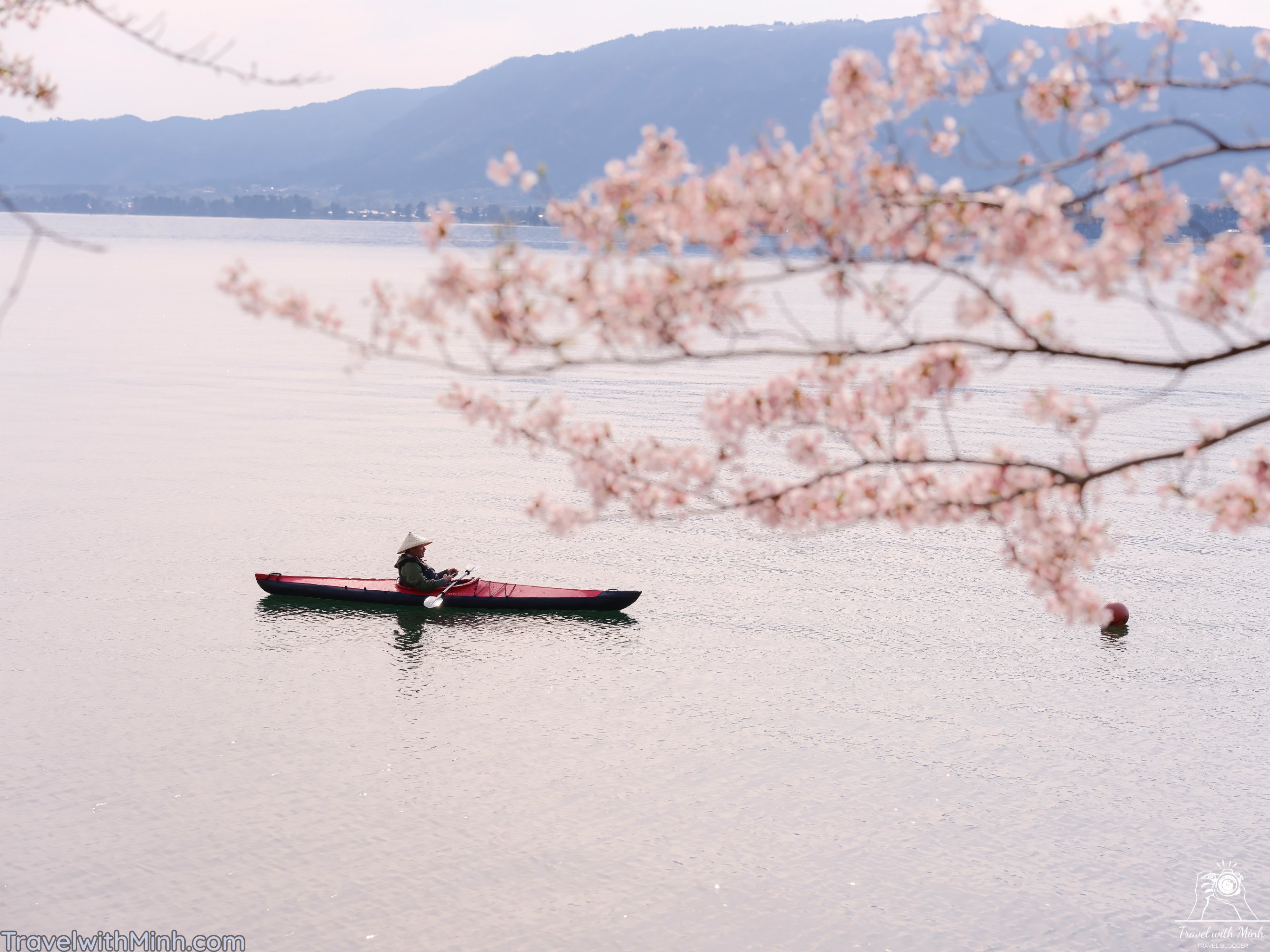 Sakura at makino shigadscf7804