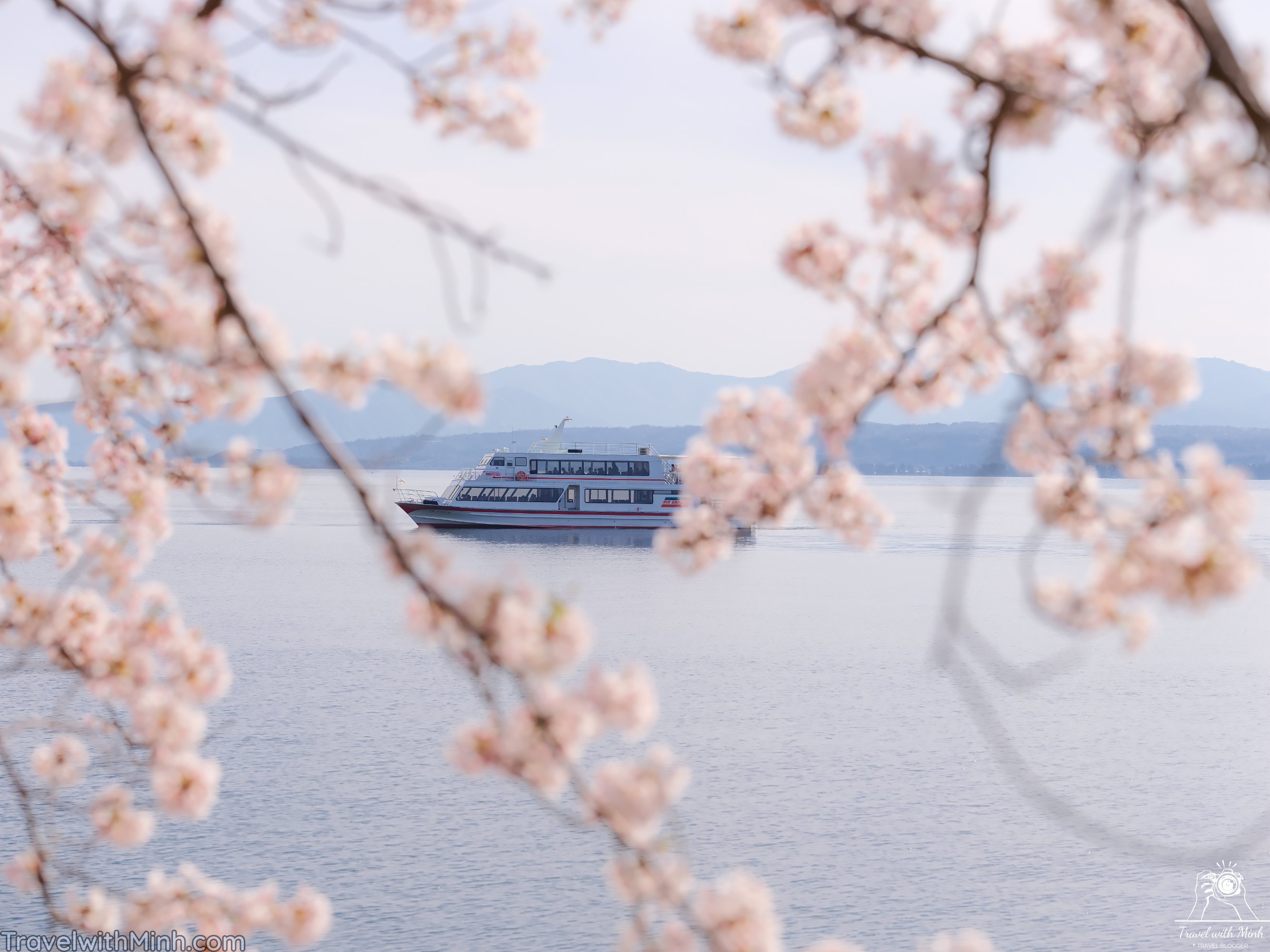 Sakura at makino shigadscf7817 1
