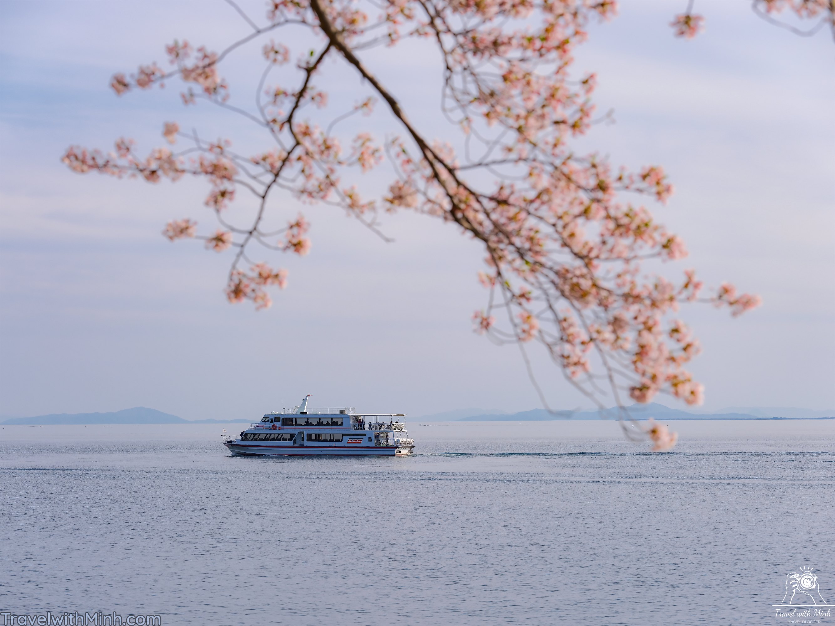 Sakura at makino shigadscf7821