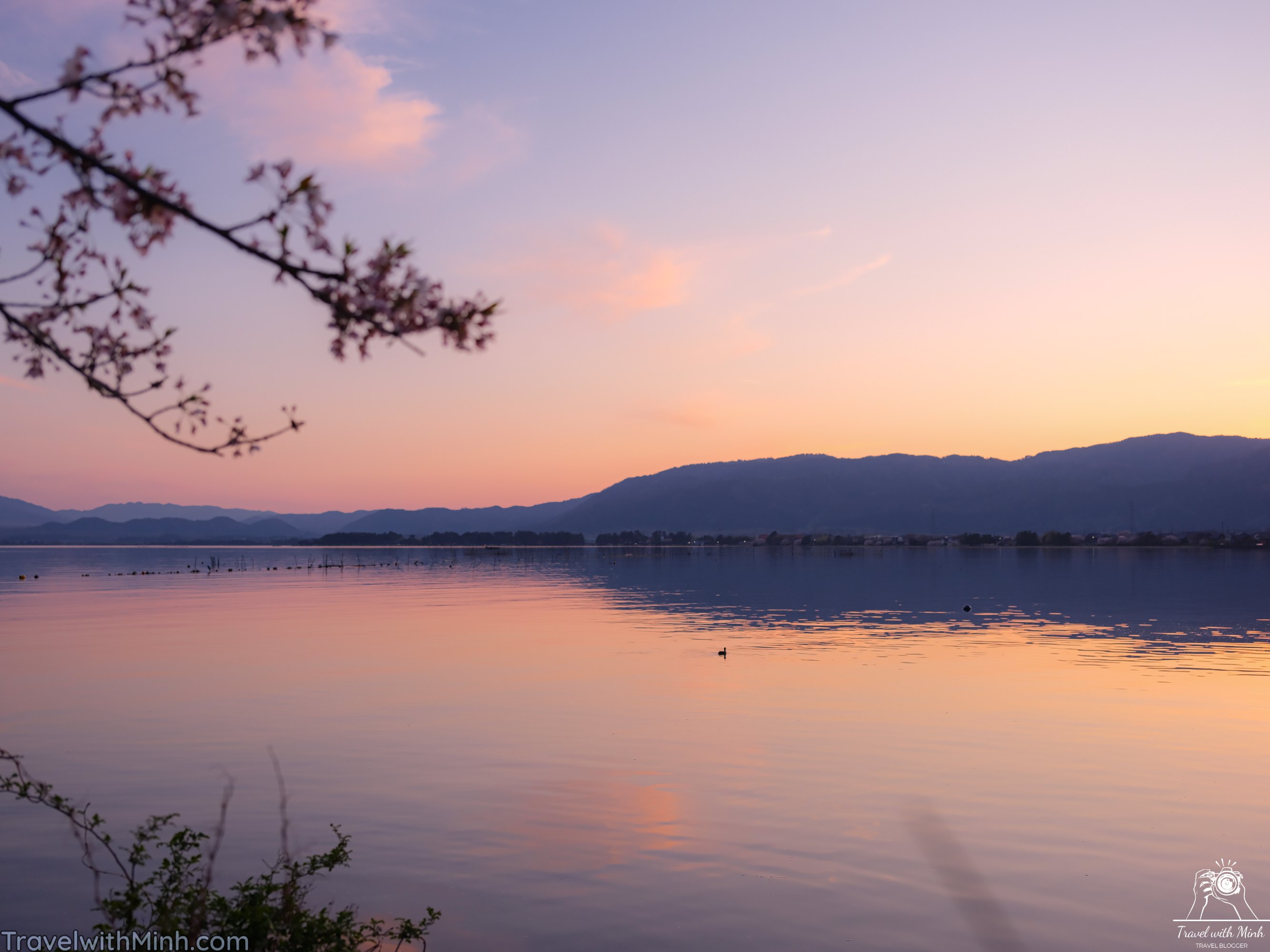 Sakura at makino shigadscf8001 1
