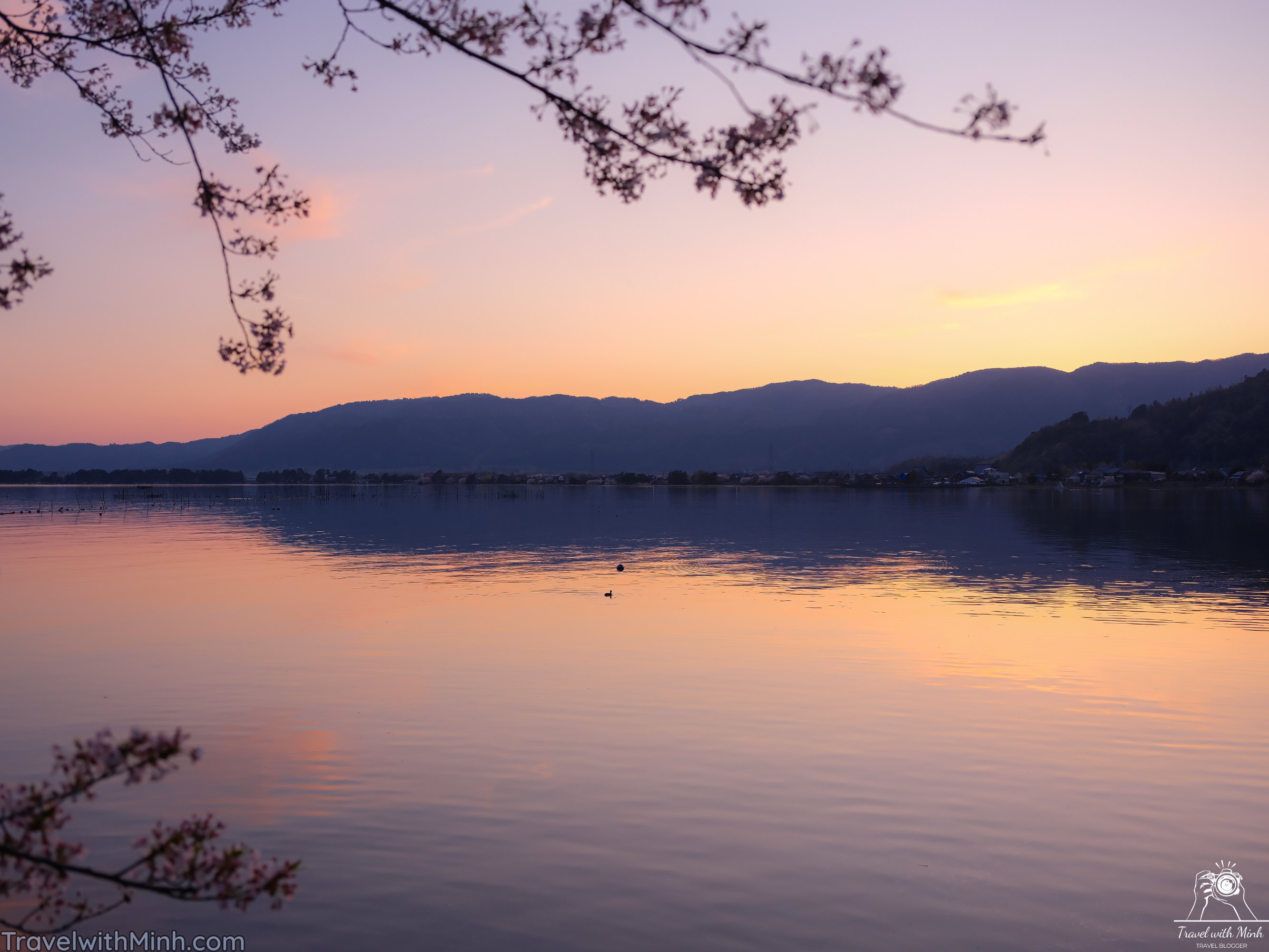 Sakura at makino shigadscf8004 1