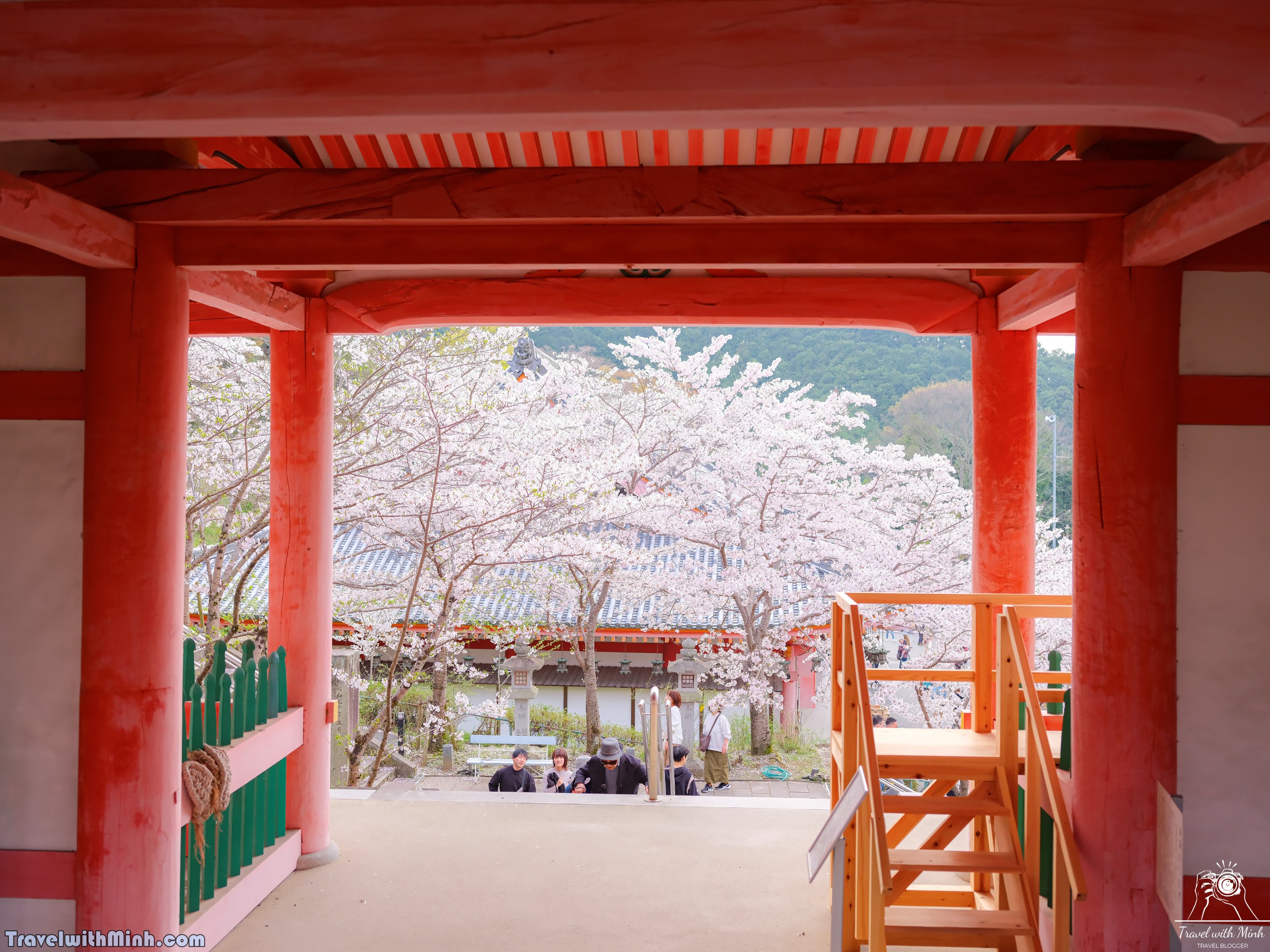 Sakura tsubosaka naradscf6848