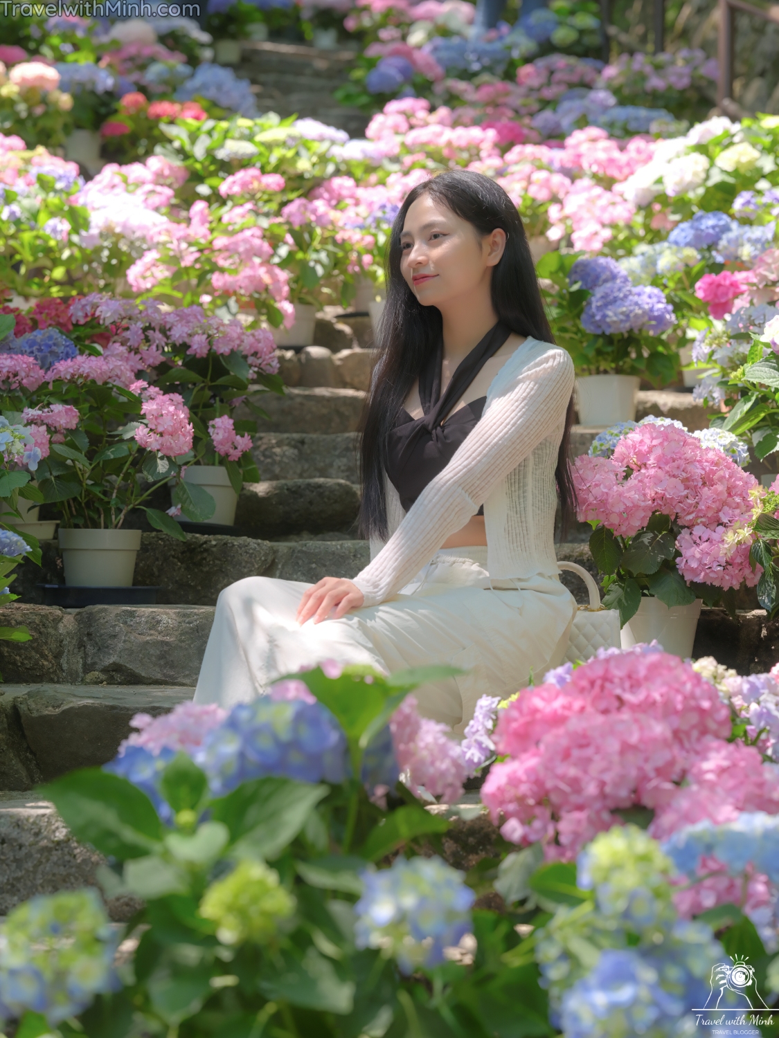 1 hoa cam tu cau naradscf3603