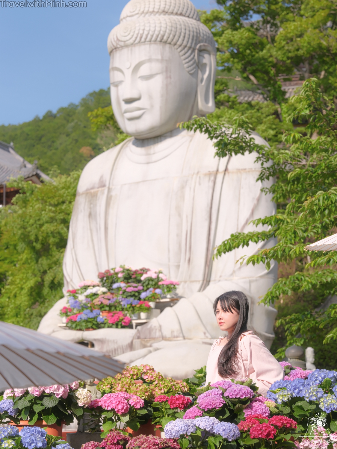 1 hoa cam tu cau naradscf3697 1