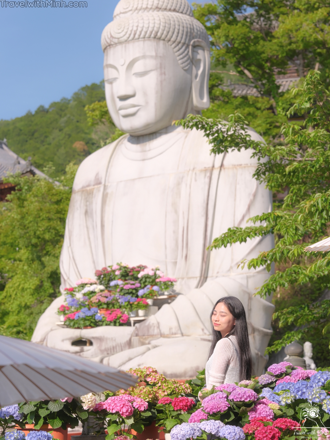 1 hoa cam tu cau naradscf3699 1