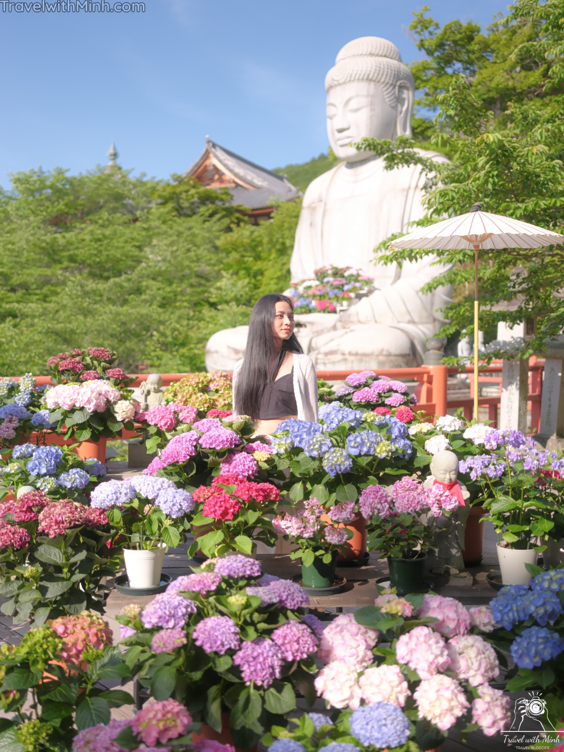 1 hoa cam tu cau naradscf3714 1