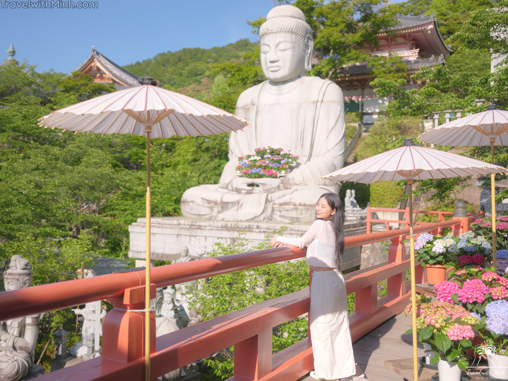 1 hoa cam tu cau naradscf3741 1