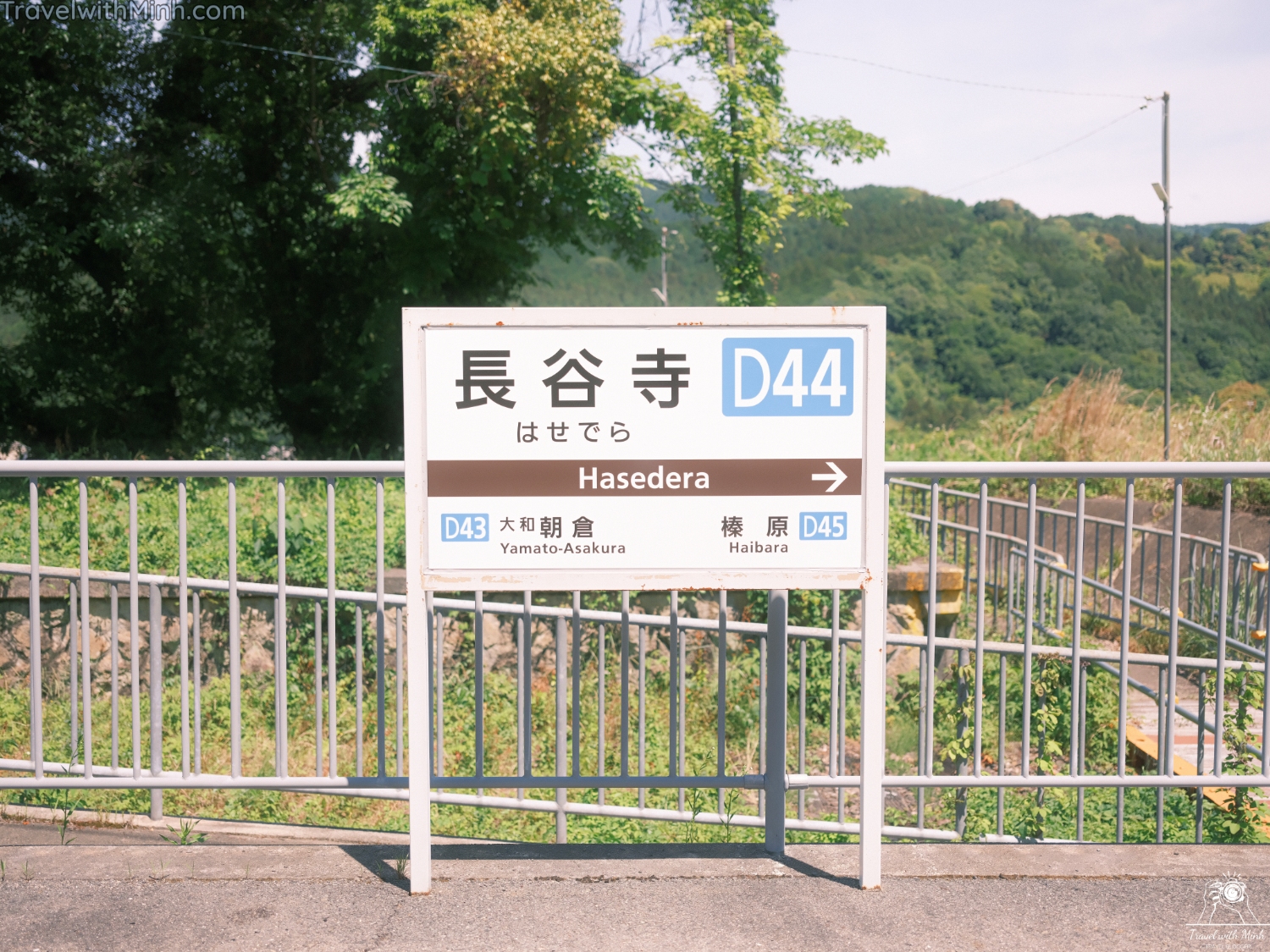 Hoa cam tu cau naradscf3430