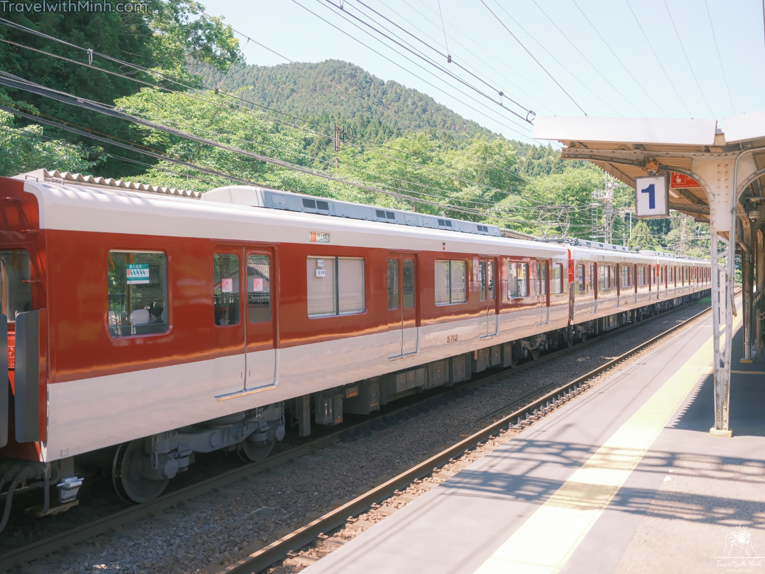 Hoa cam tu cau naradscf3431