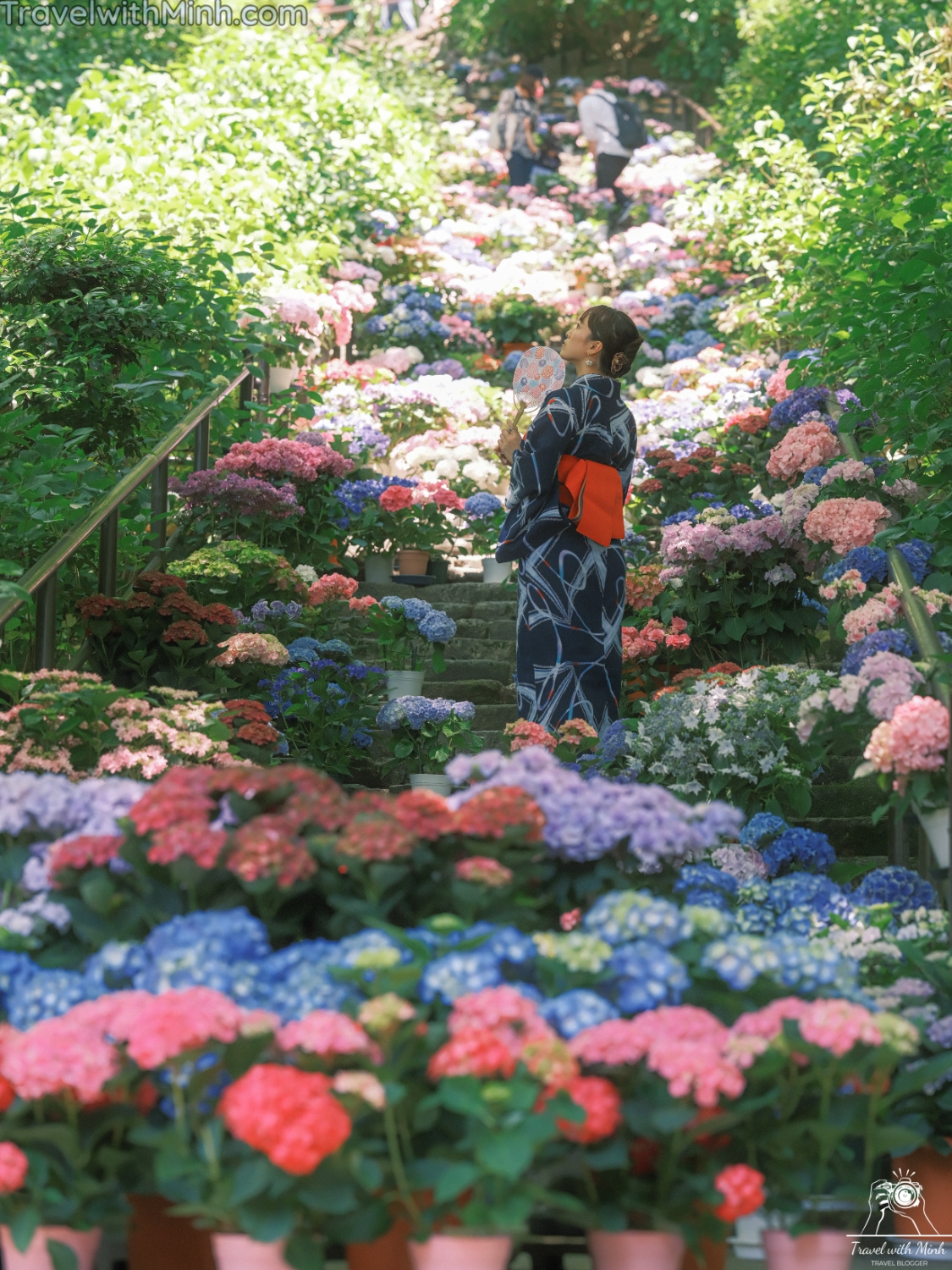 Hoa cam tu cau naradscf3451