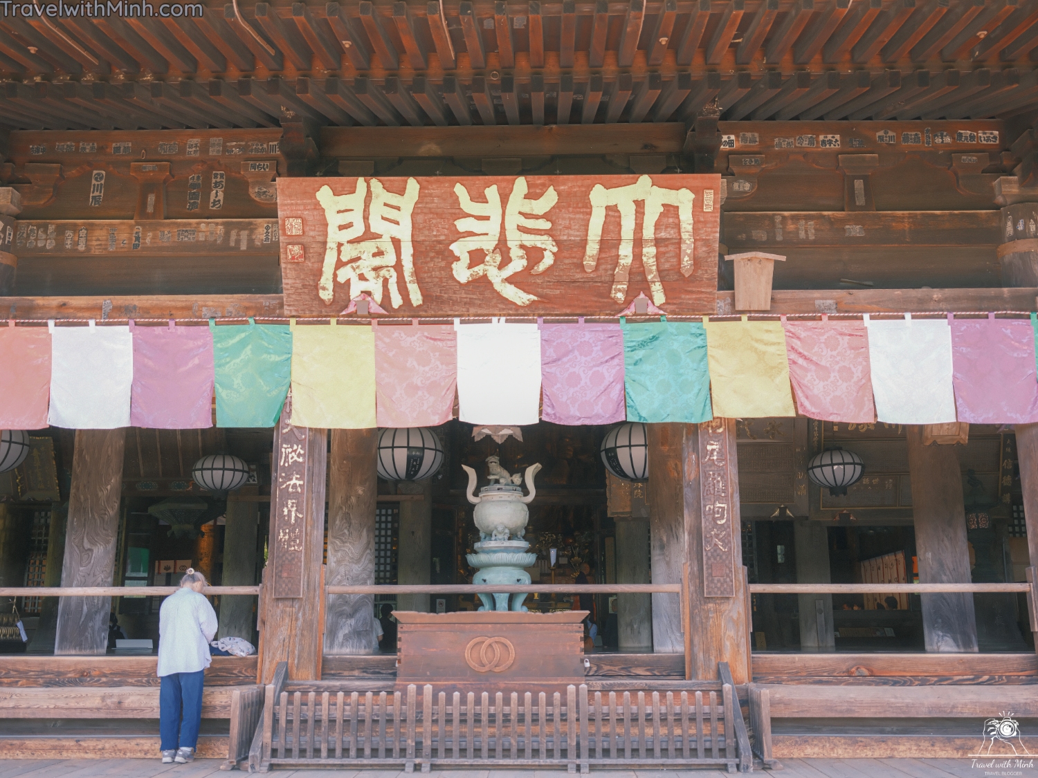 Hoa cam tu cau naradscf3457