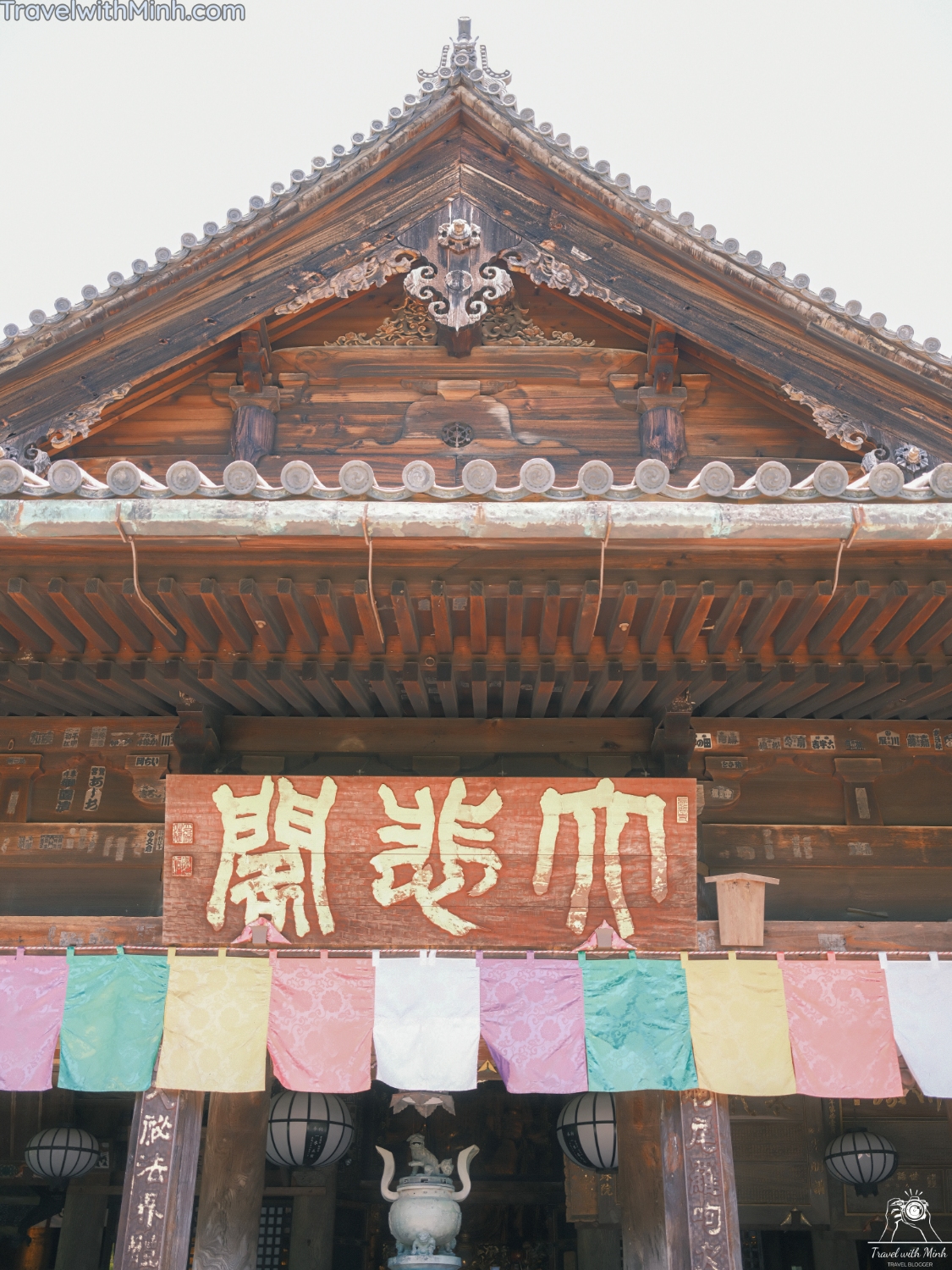 Hoa cam tu cau naradscf3458