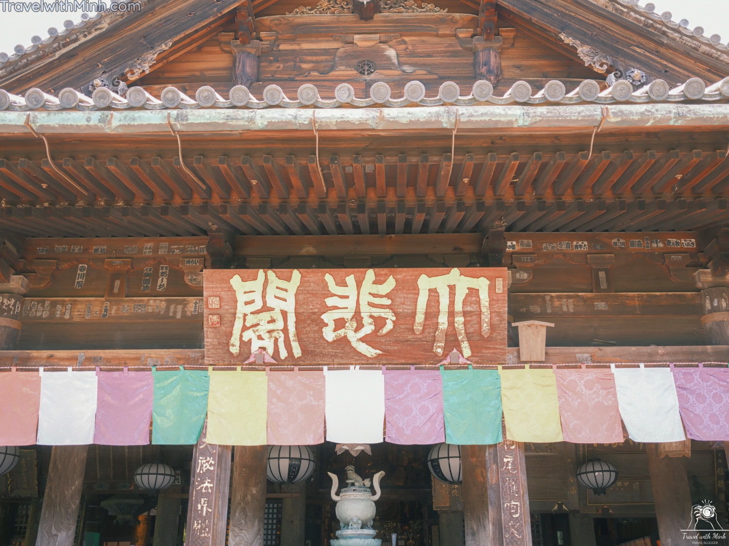 Hoa cam tu cau naradscf3459