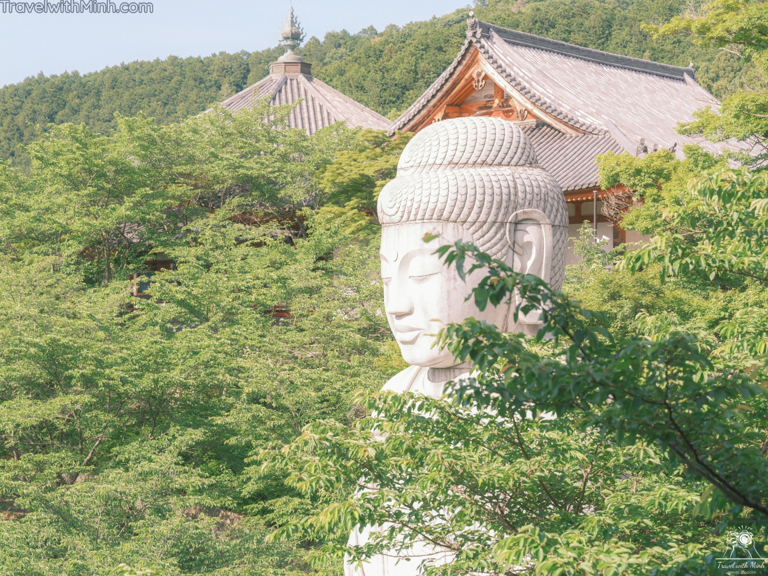 Hoa cam tu cau naradscf3687