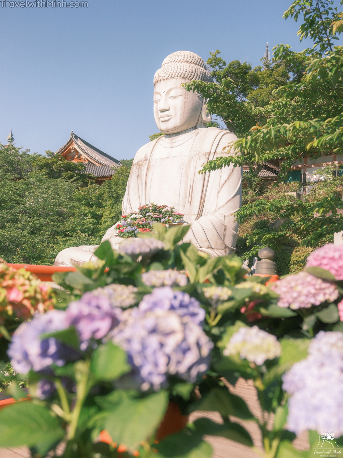 Hoa cam tu cau naradscf3763