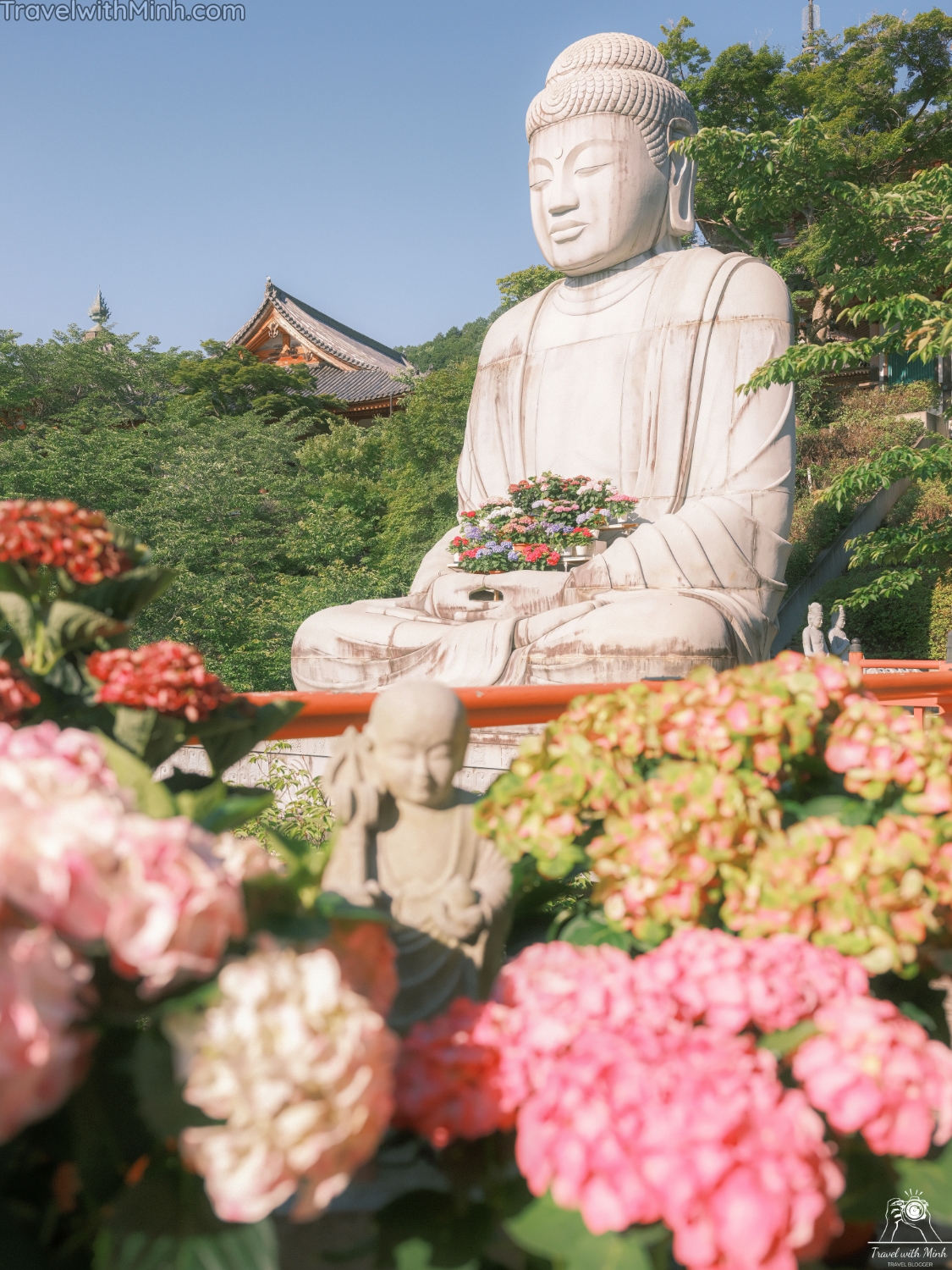 Hoa cam tu cau naradscf3766