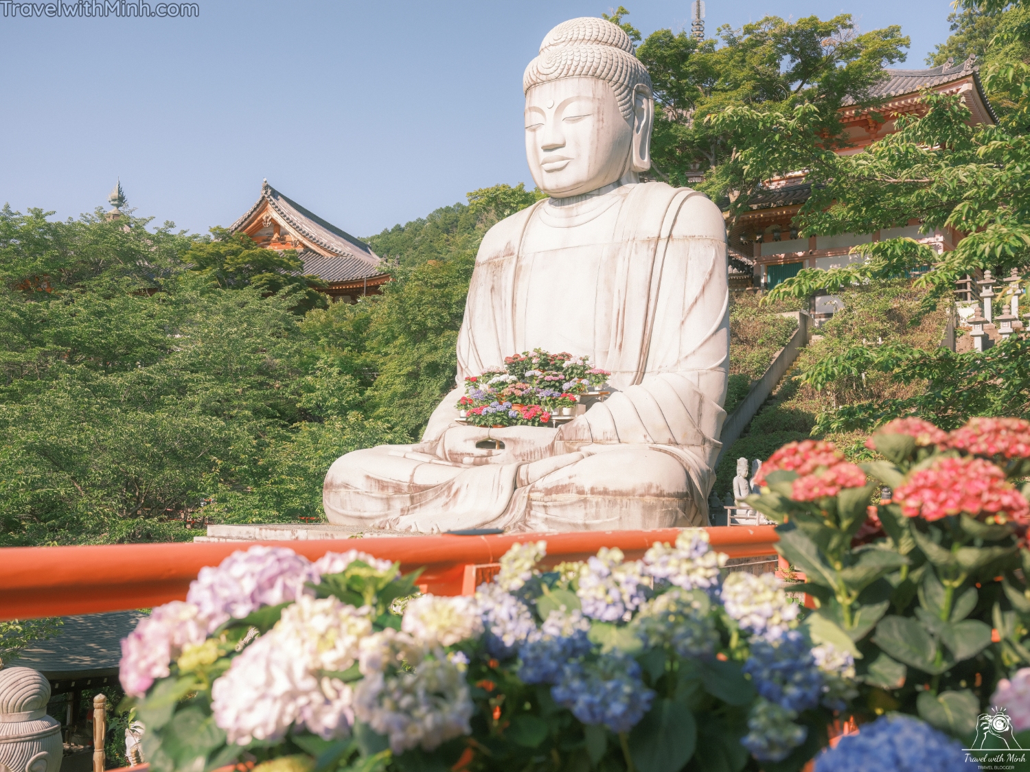 Hoa cam tu cau naradscf3767 1