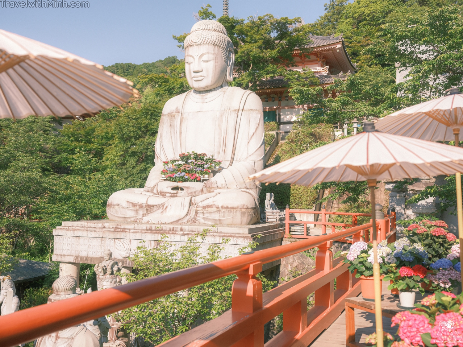 Hoa cam tu cau naradscf3768