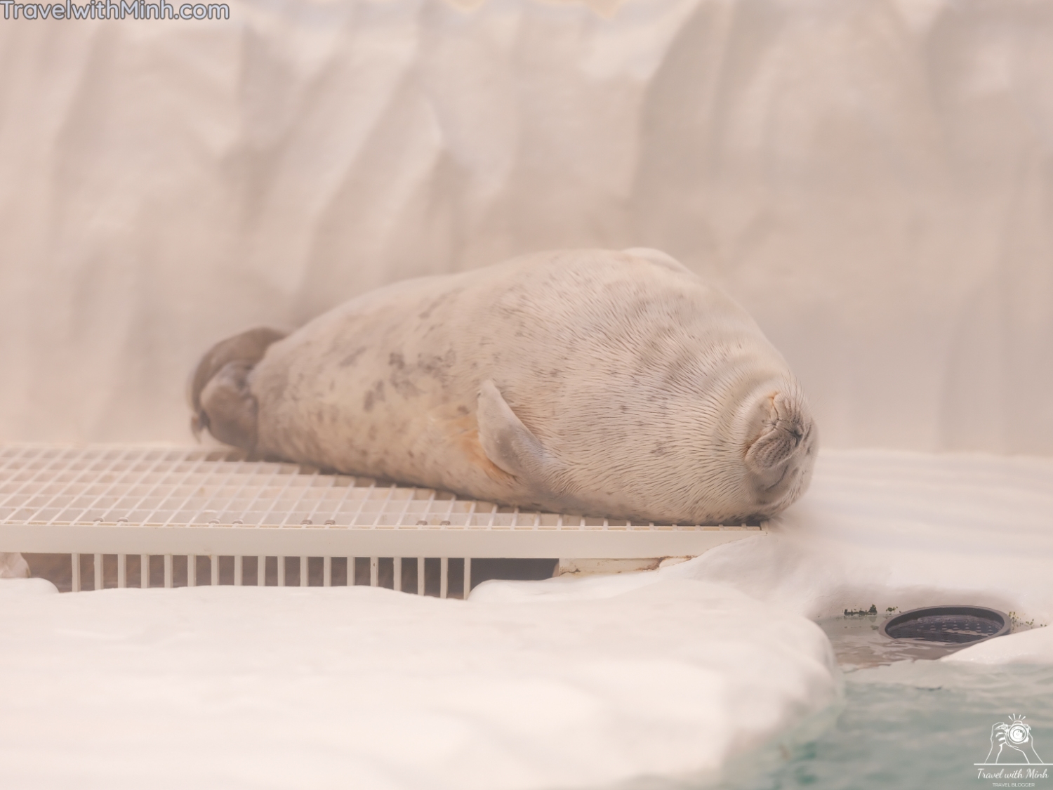 Kaiyukan aquarium osakadscf0235 2