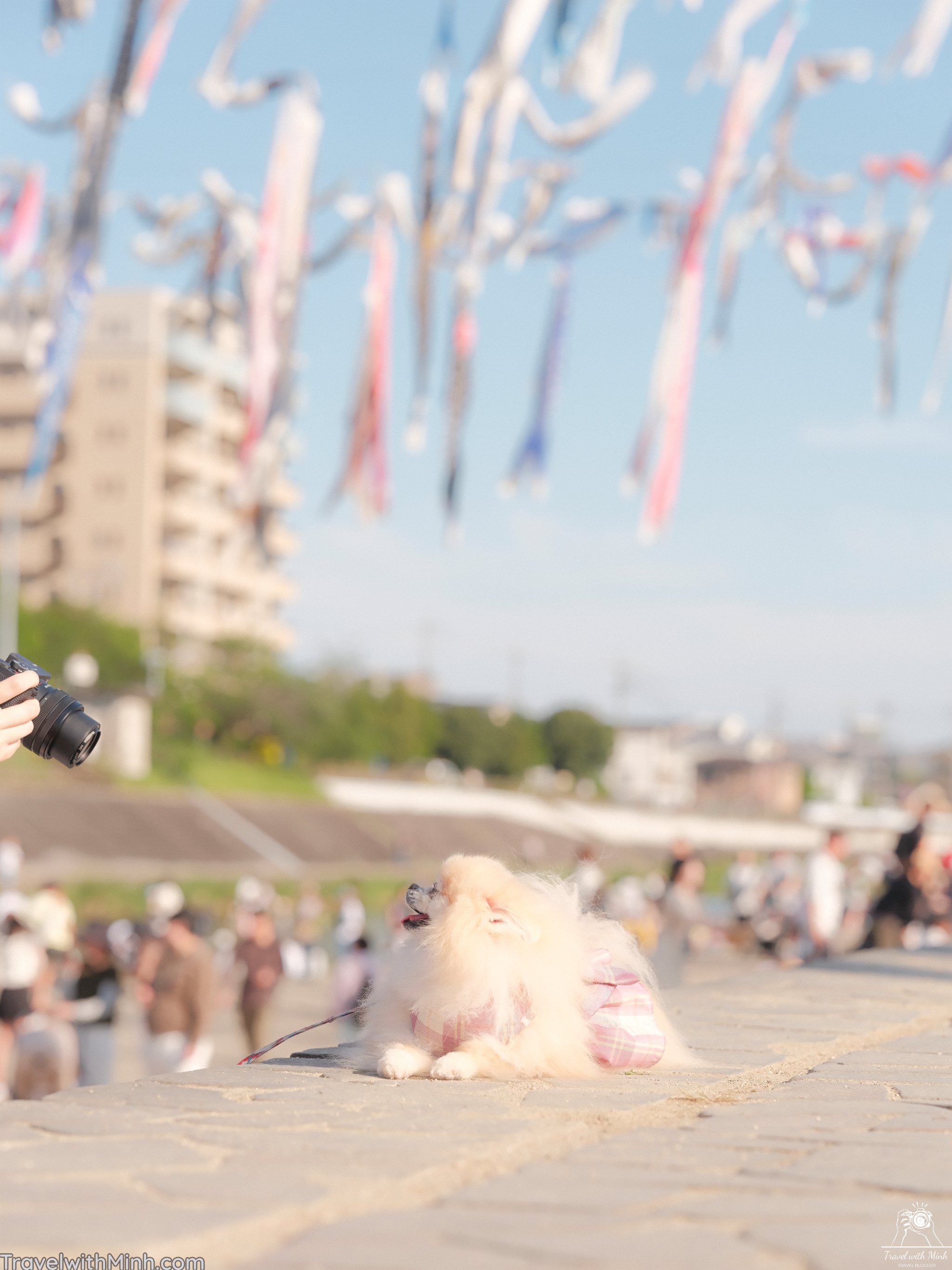 Takatsuki le hoi co ca chepdscf9410