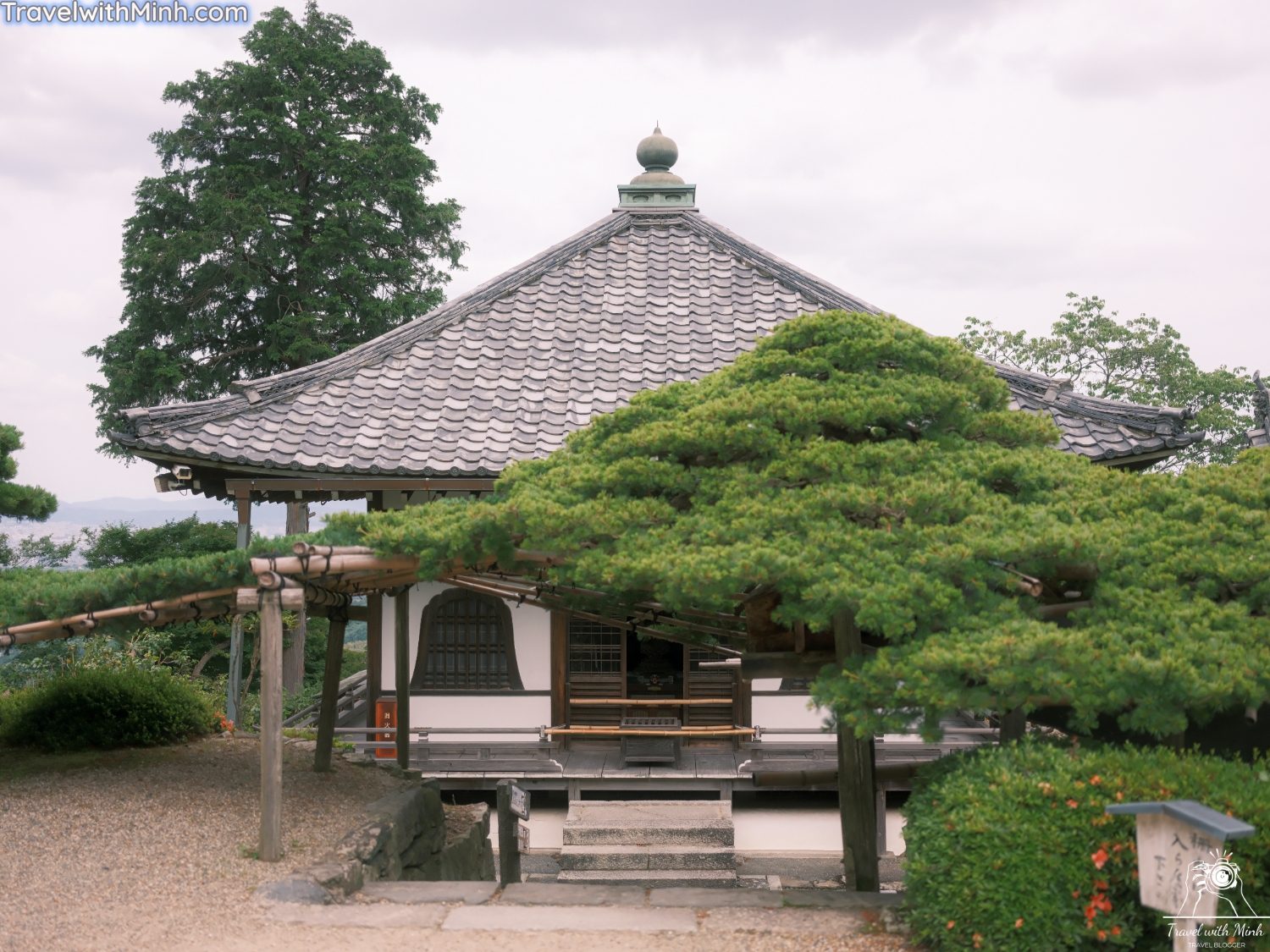 Hoa cam tu cau kyotodscf4878 1