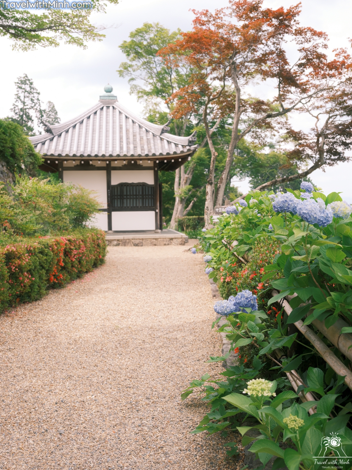 Hoa cam tu cau kyotodscf4883 1