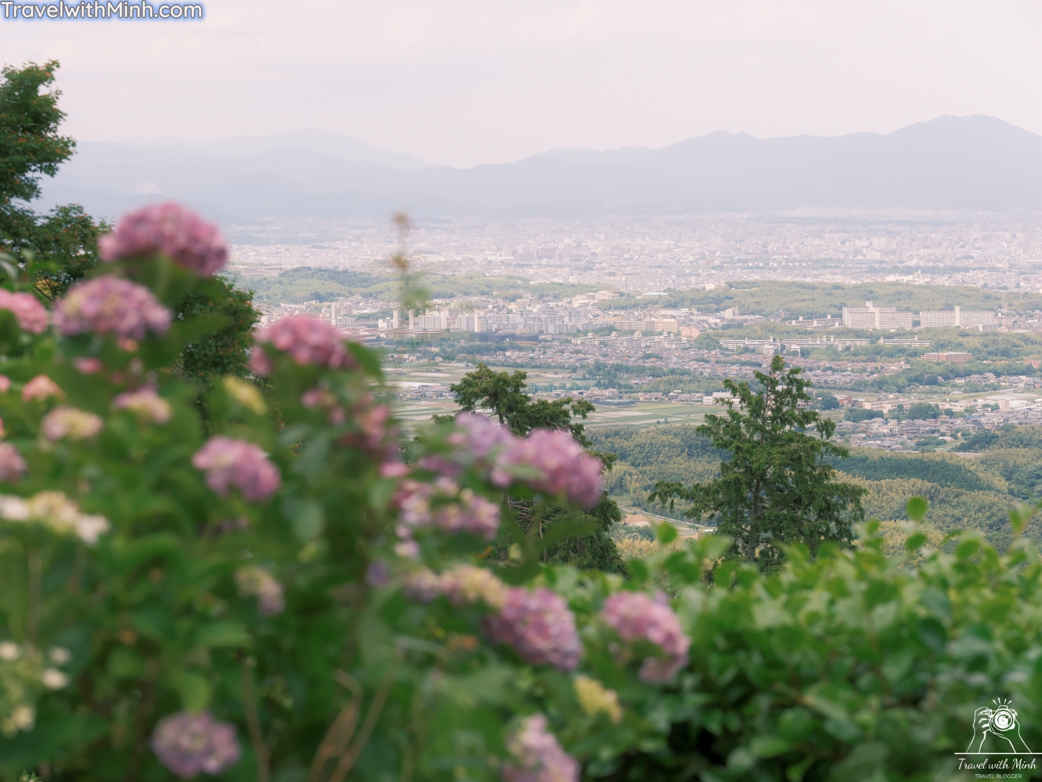 Hoa cam tu cau kyotodscf4935