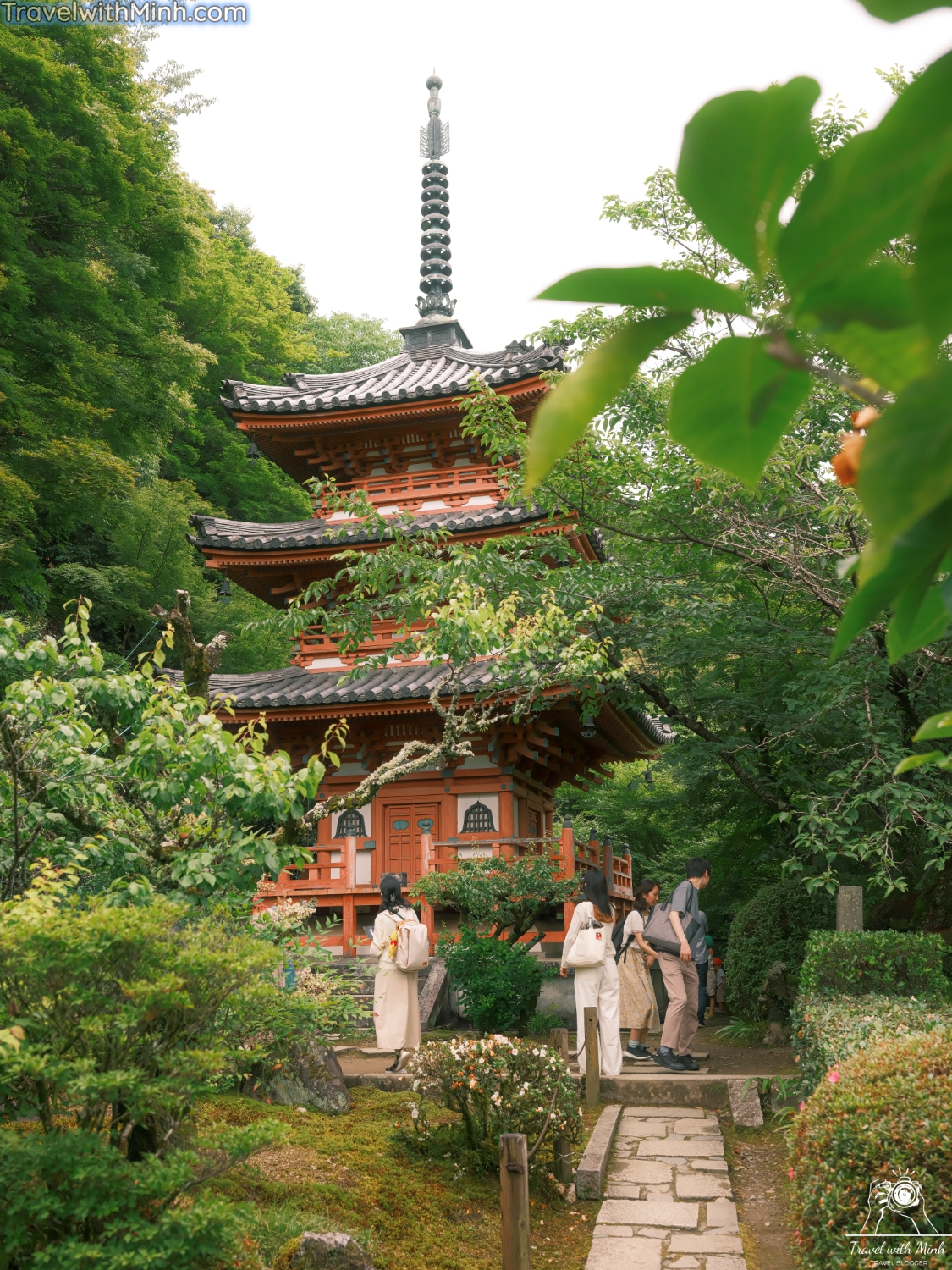 Hoa cam tu cau kyotodscf5254