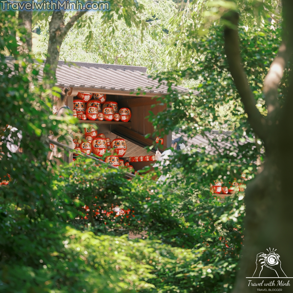 Hoa cam tu cau osakadscf5811 1