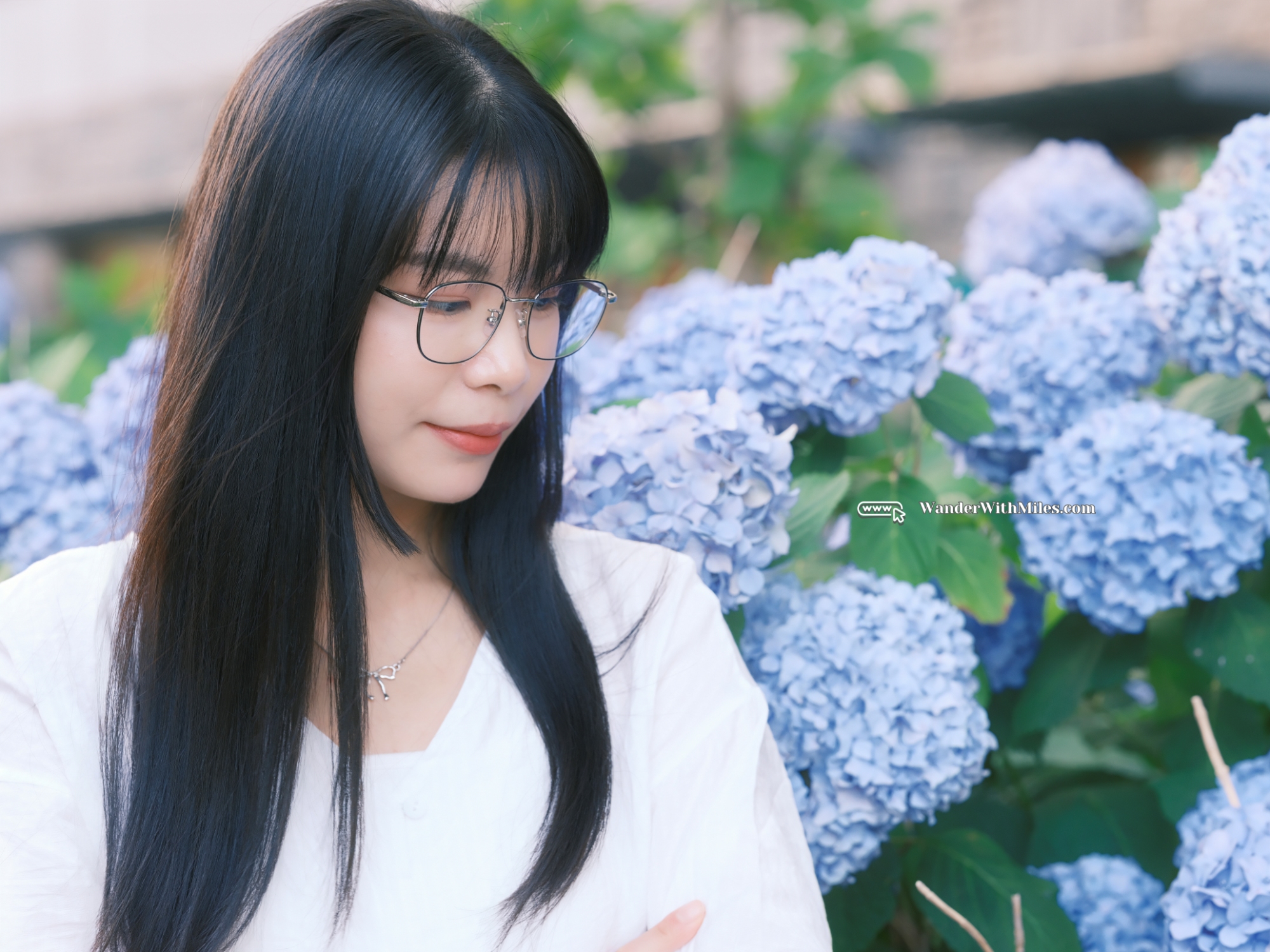 Oike street kyotodscf4968