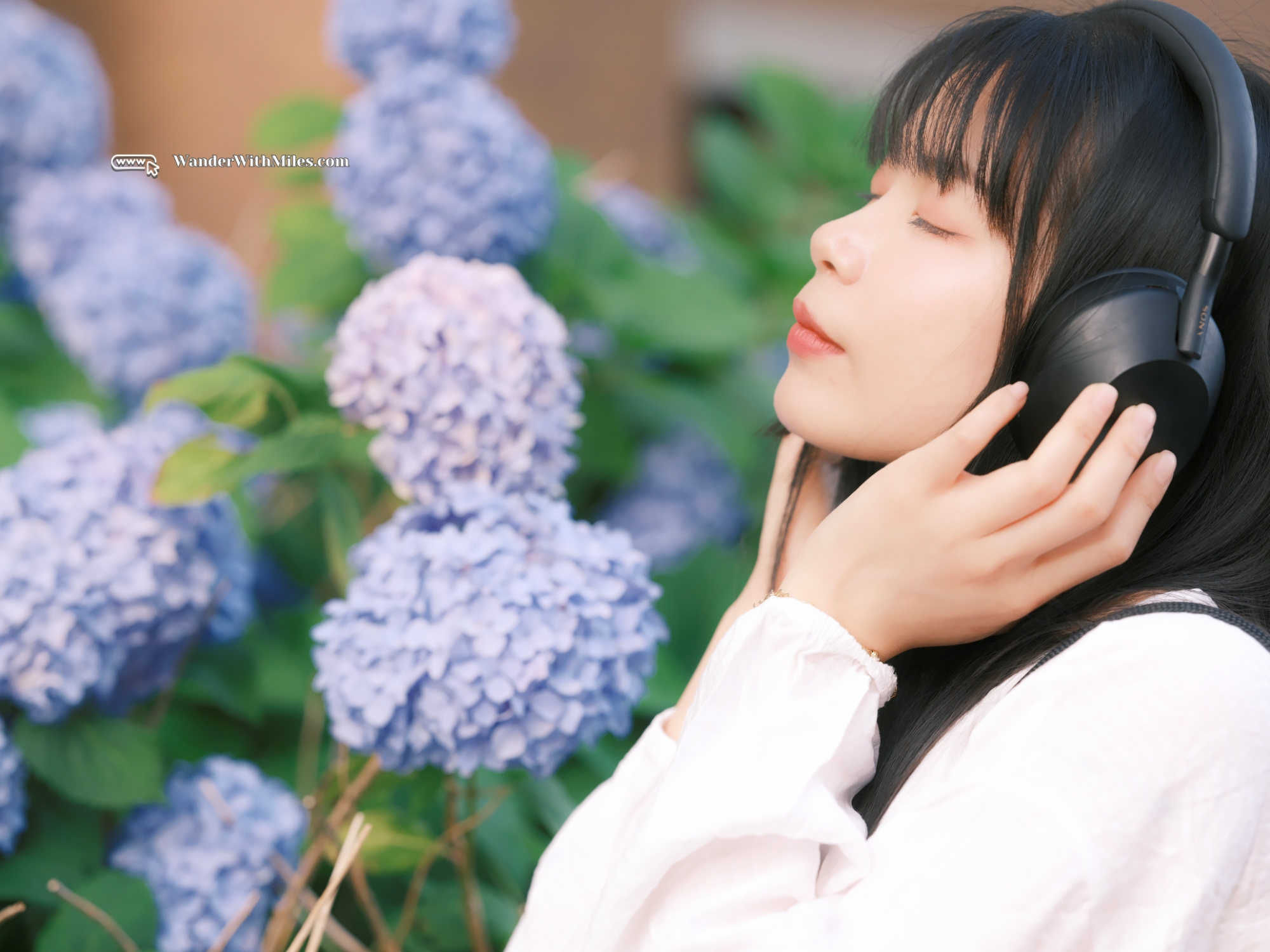 Oike street kyotodscf5009