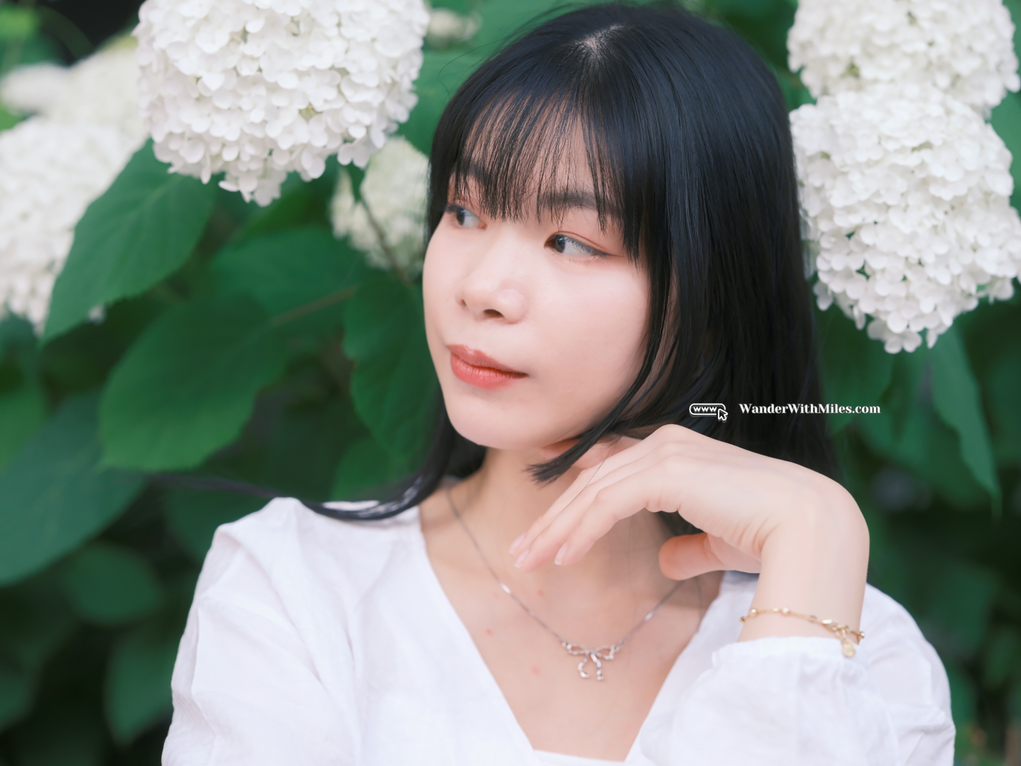 Oike street kyotodscf5118