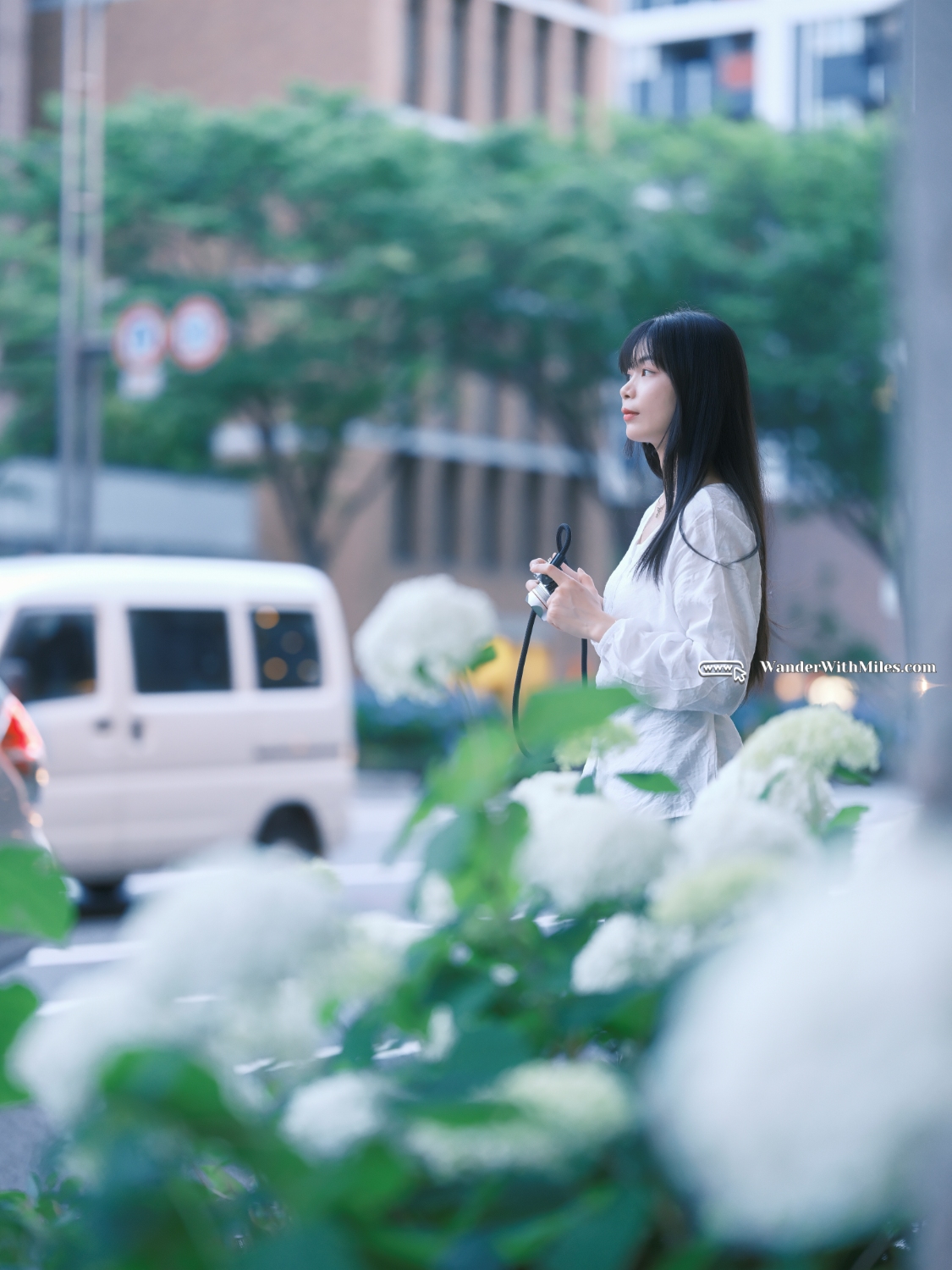 Oike street kyotodscf5172