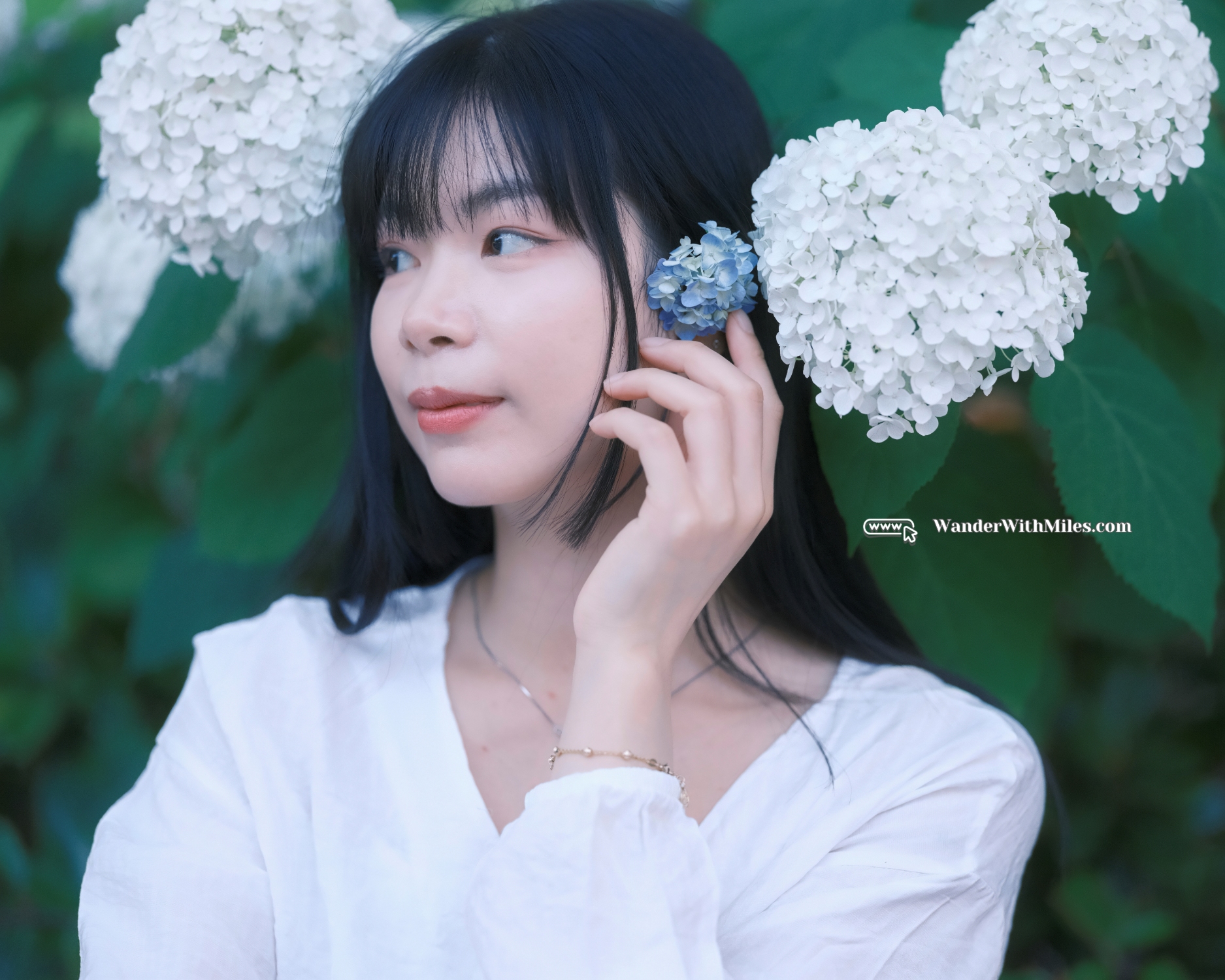 Oike street kyotodscf5182