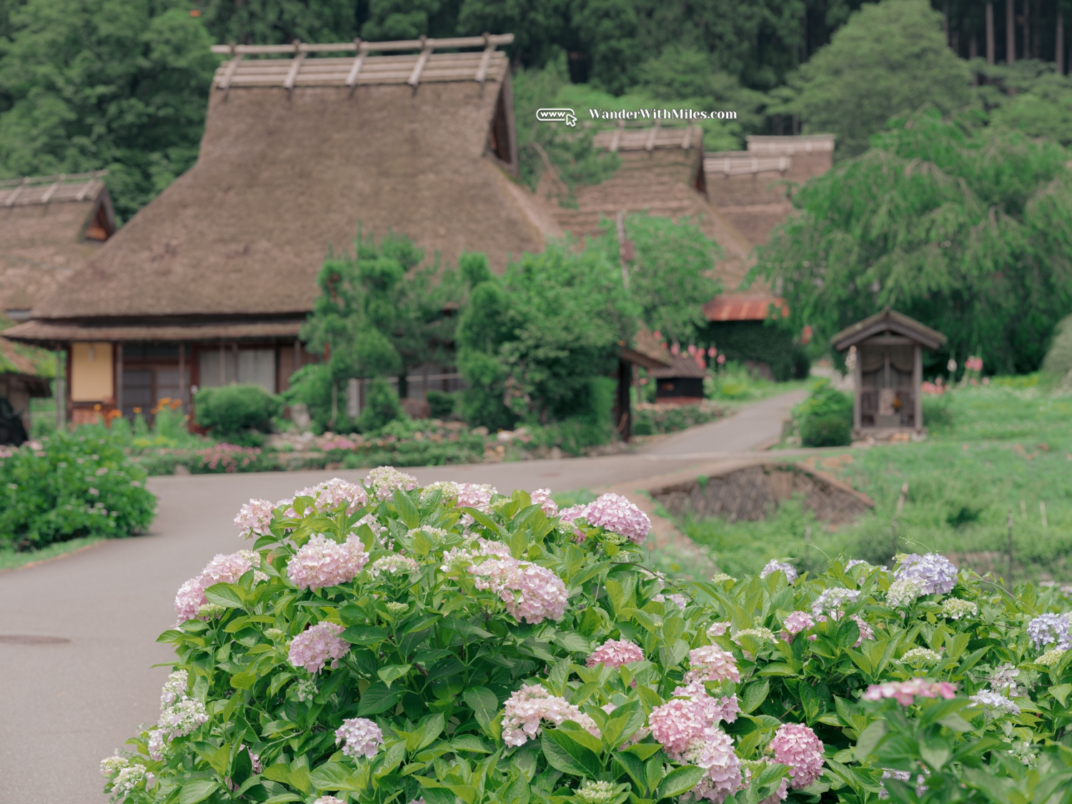 Kayabuki no satodscf7059