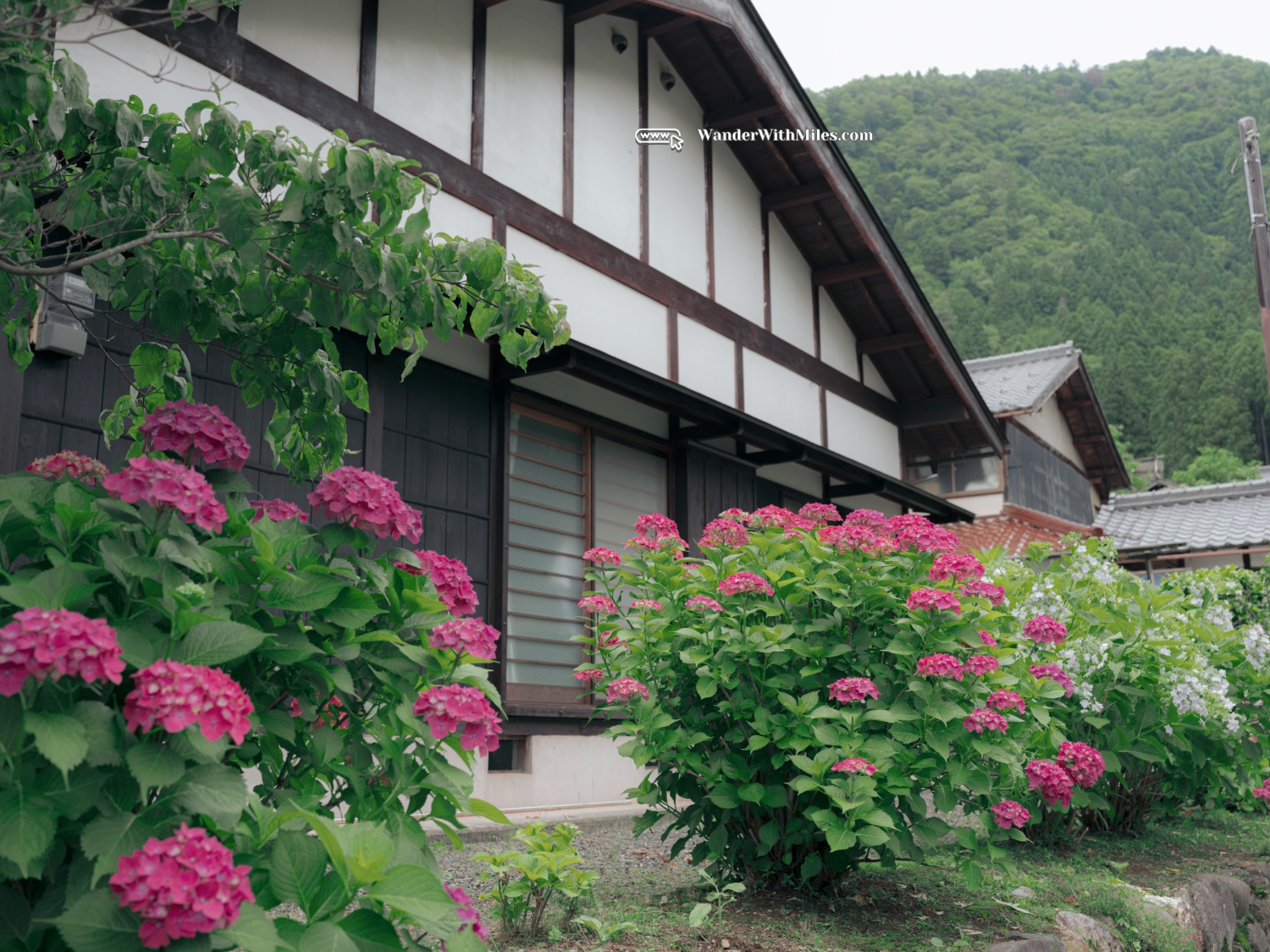 Kayabuki no satodscf7109