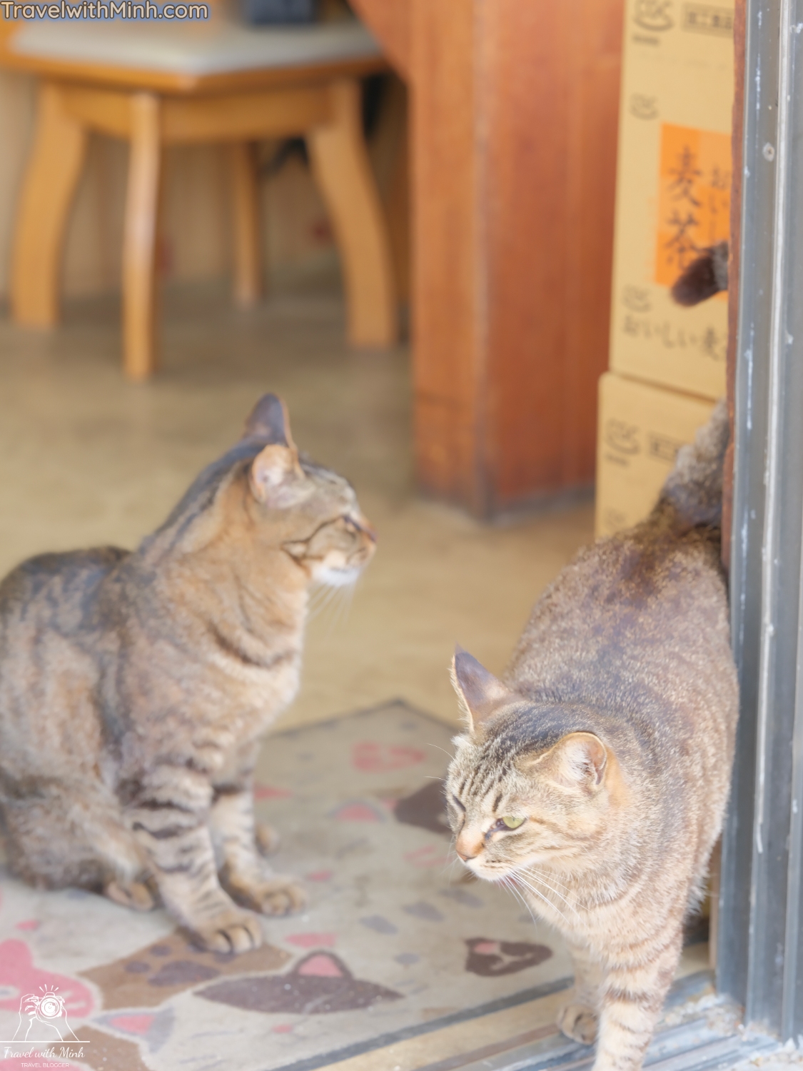 Kada beach wakayamadscf0890