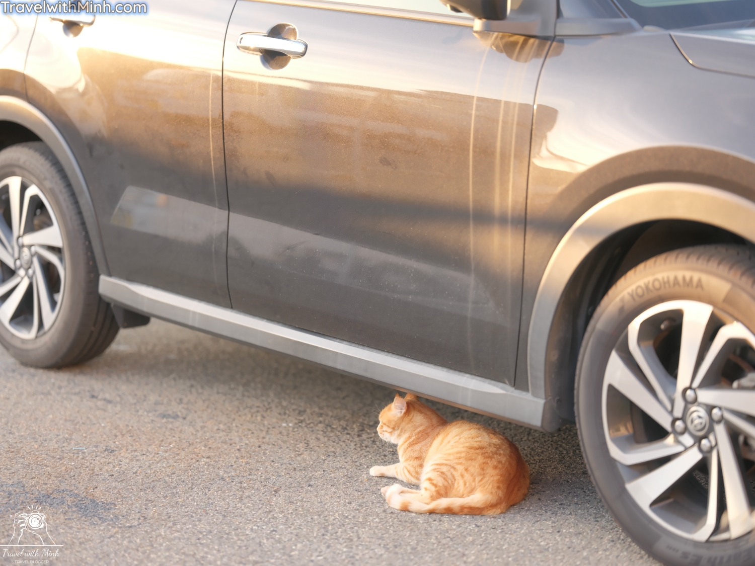 Kada beach wakayamadscf3311