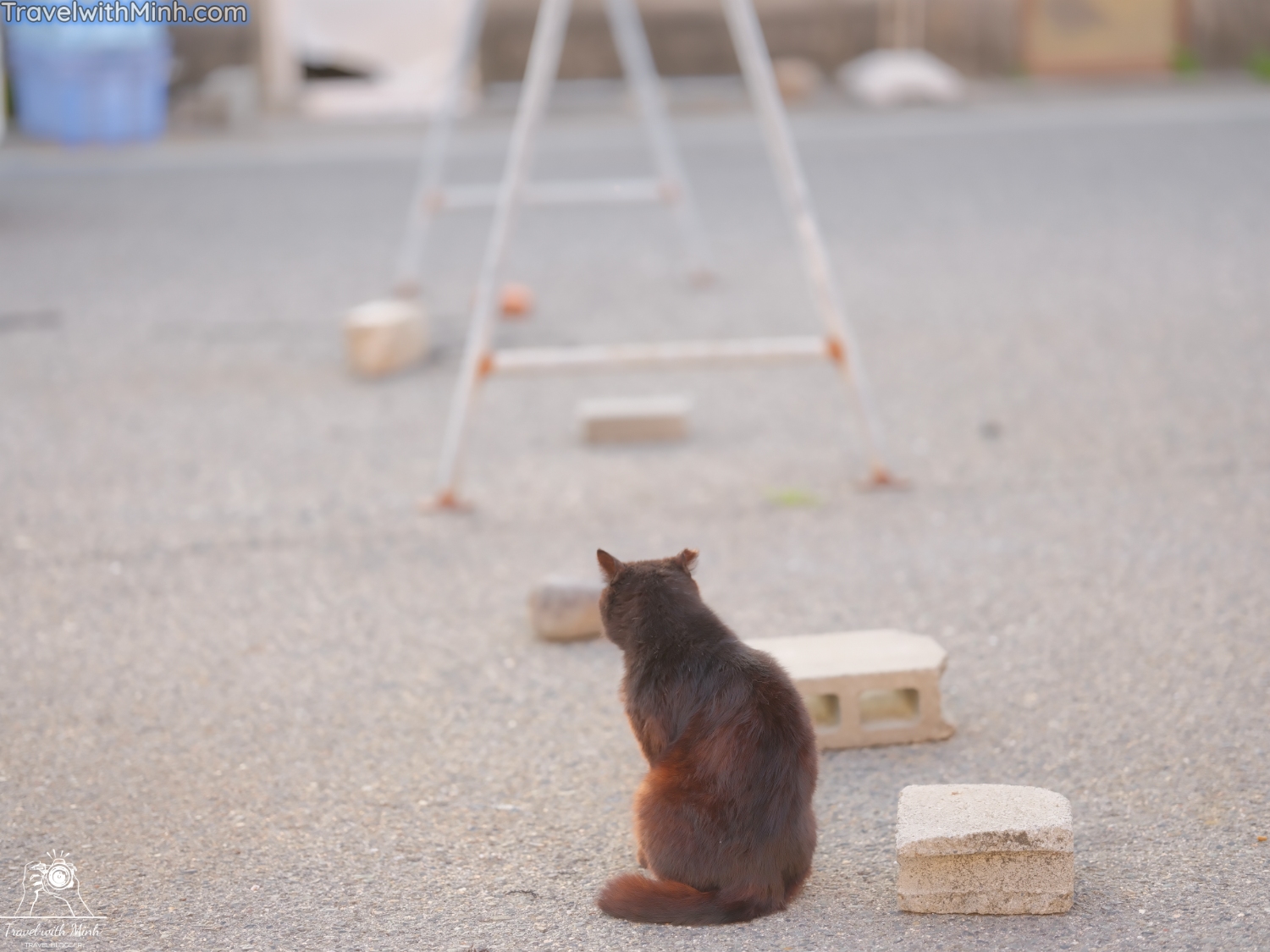 Kada beach wakayamadscf3312