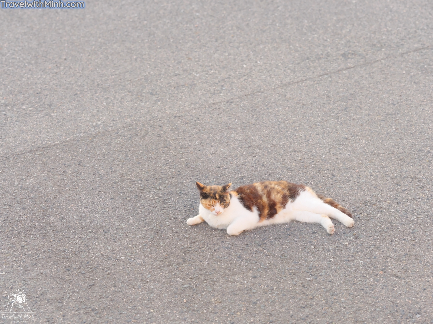 Kada beach wakayamadscf3316