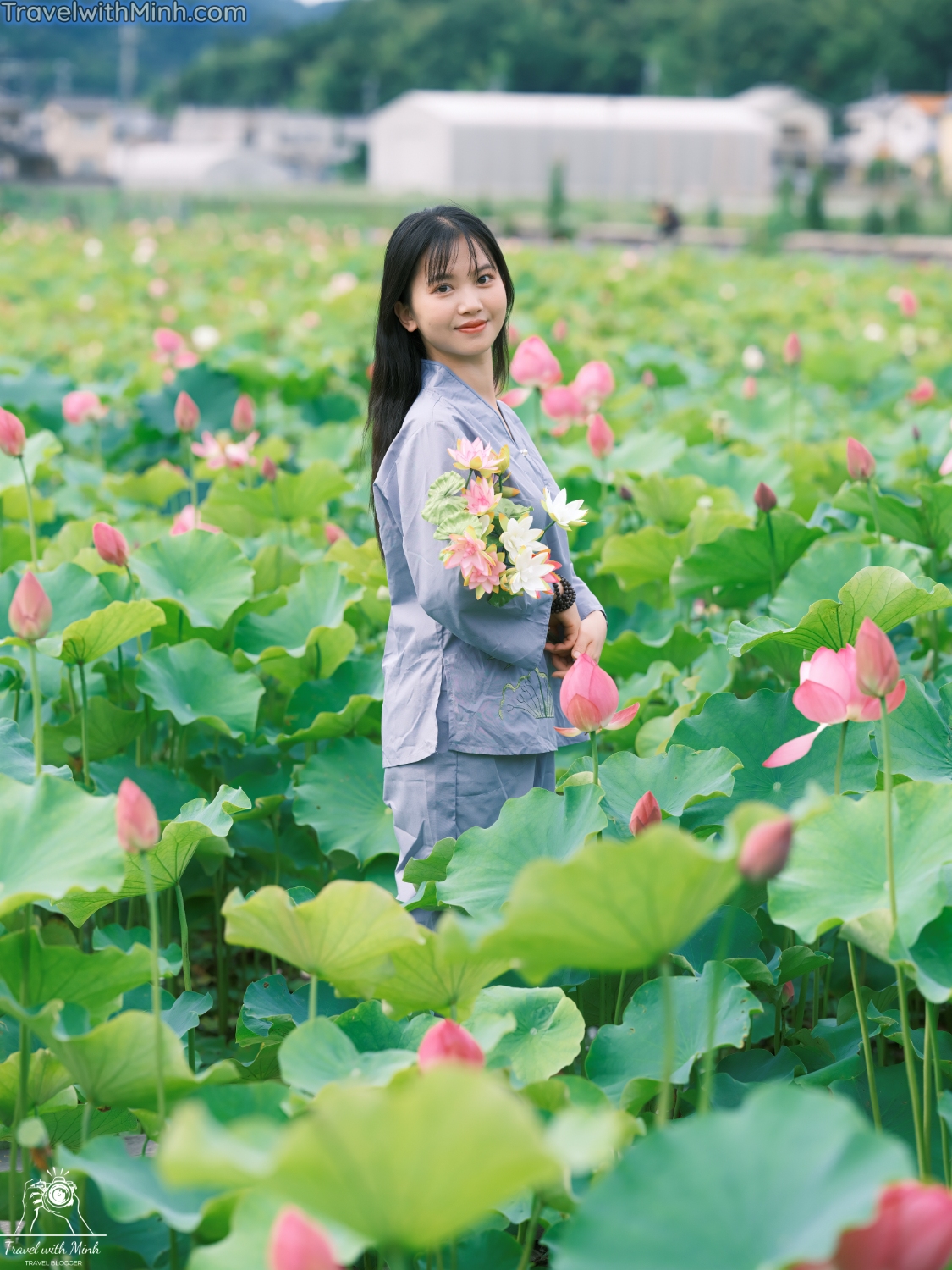 Lotus at himejidscf8615 2