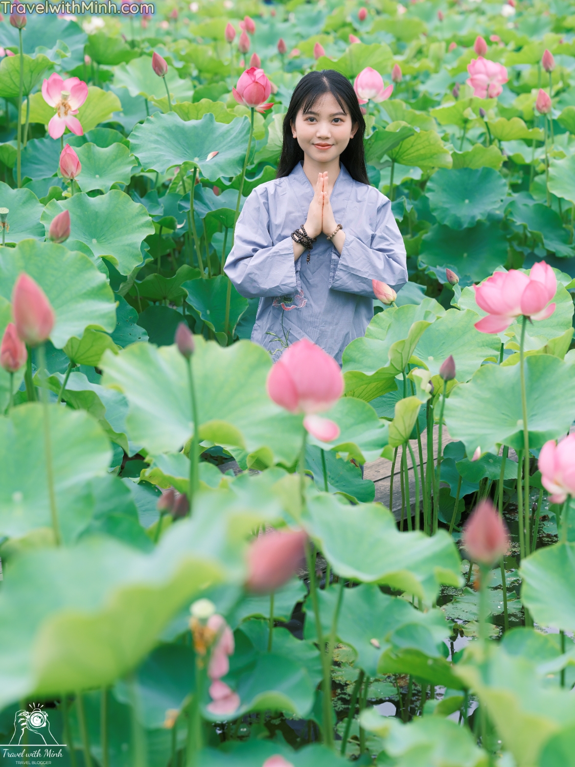 Lotus at himejidscf8627 3