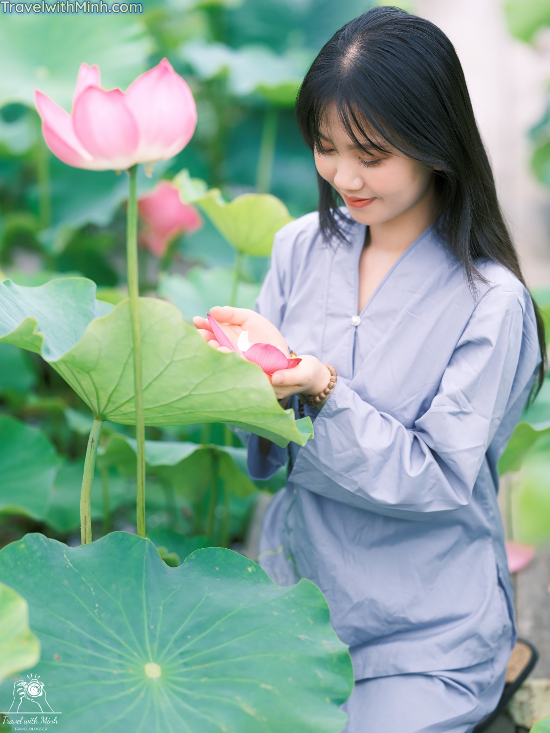 Lotus at himejidscf8635 2