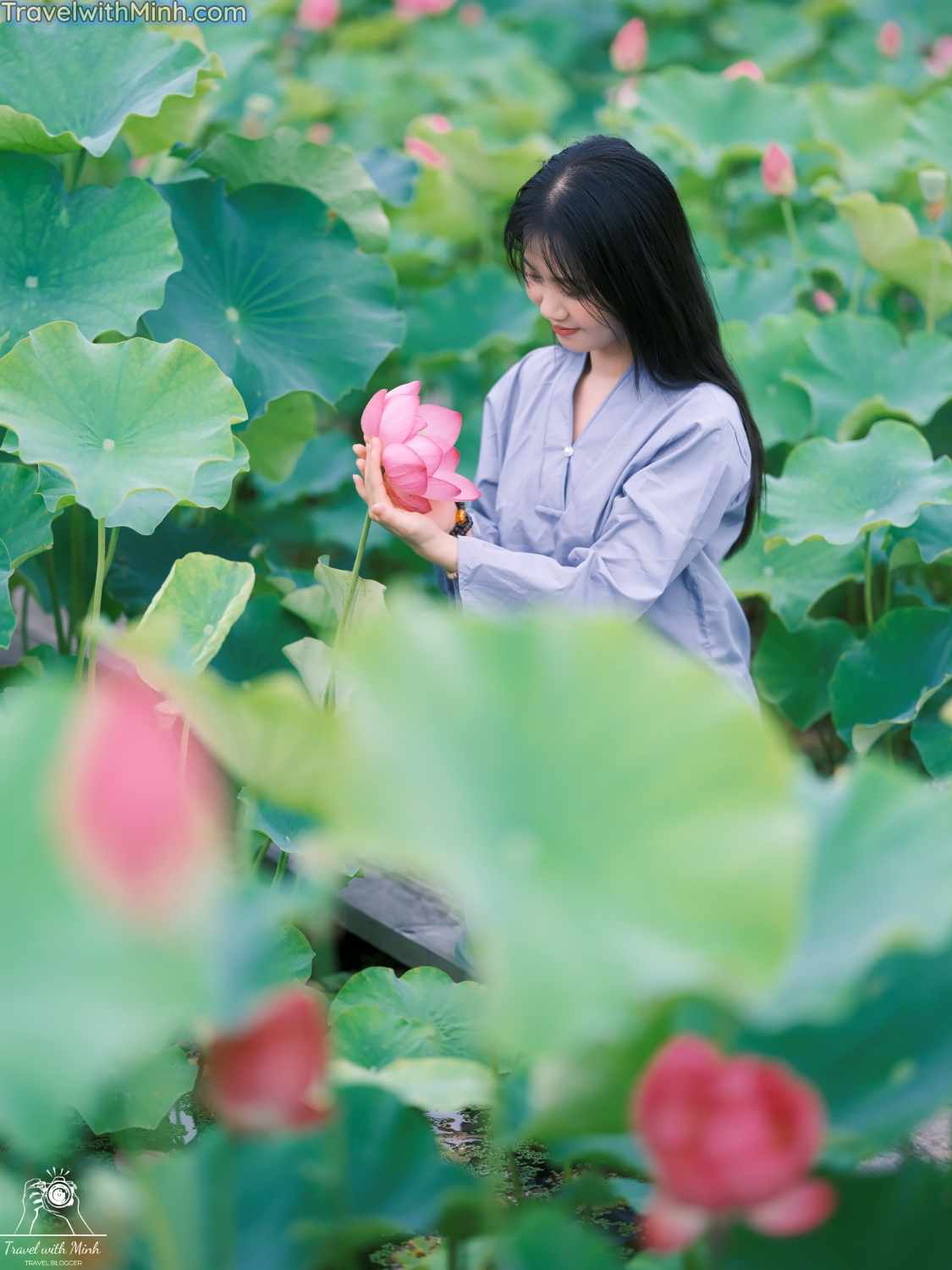 Lotus at himejidscf8663 2