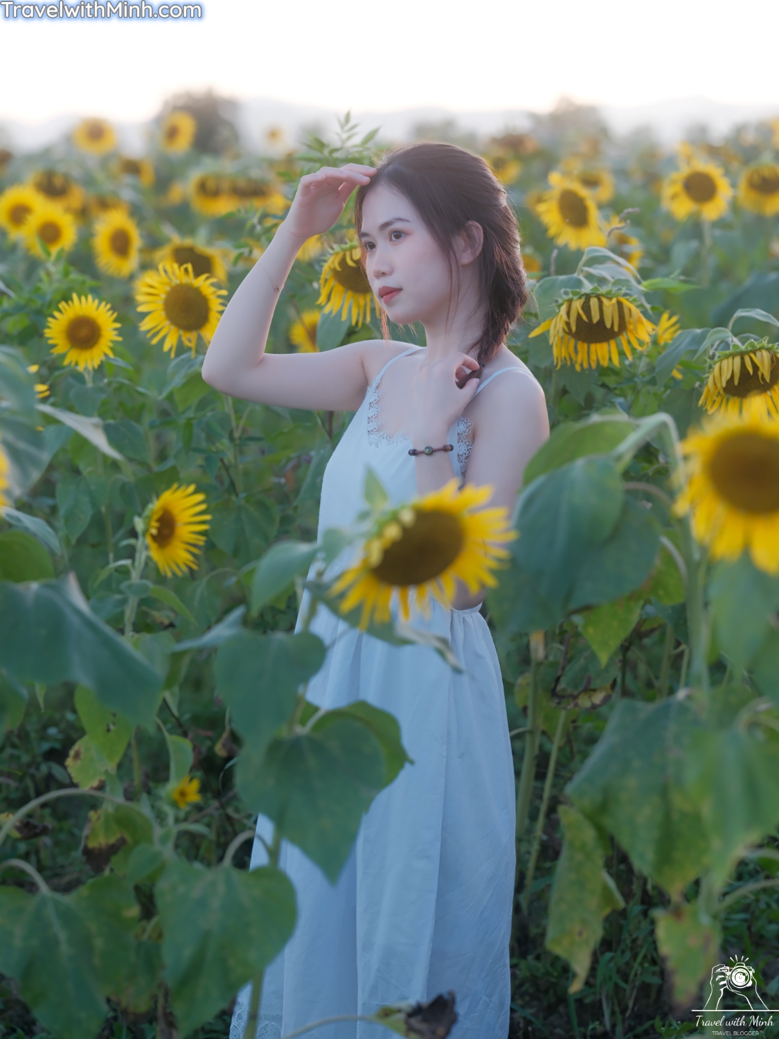 Hoa huong duong ono hyogo (55)