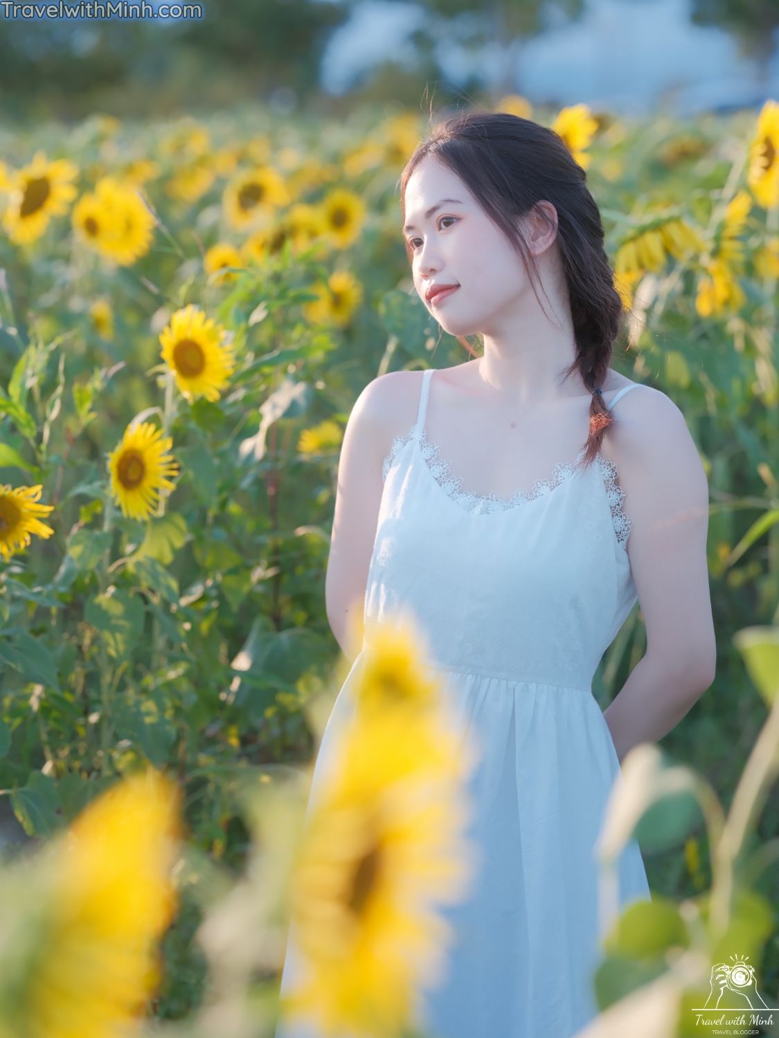 Hoa huong duong ono hyogo (57)