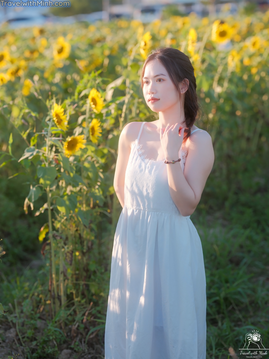 Hoa huong duong ono hyogo (60)